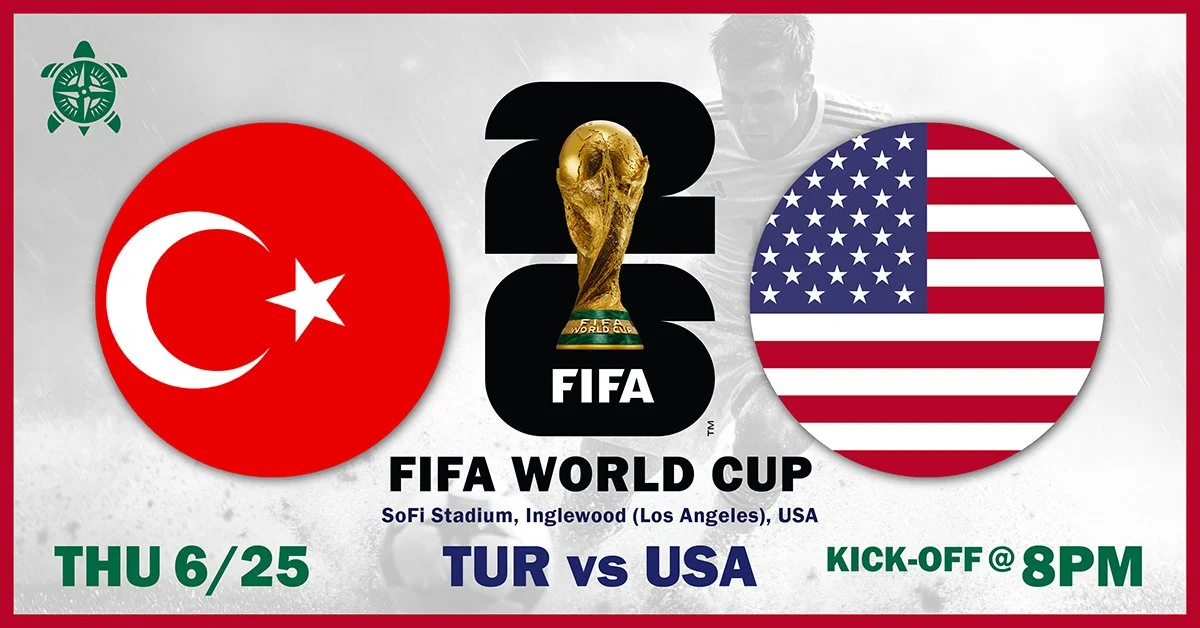 World Cup, Soccer, USA vs Turkey