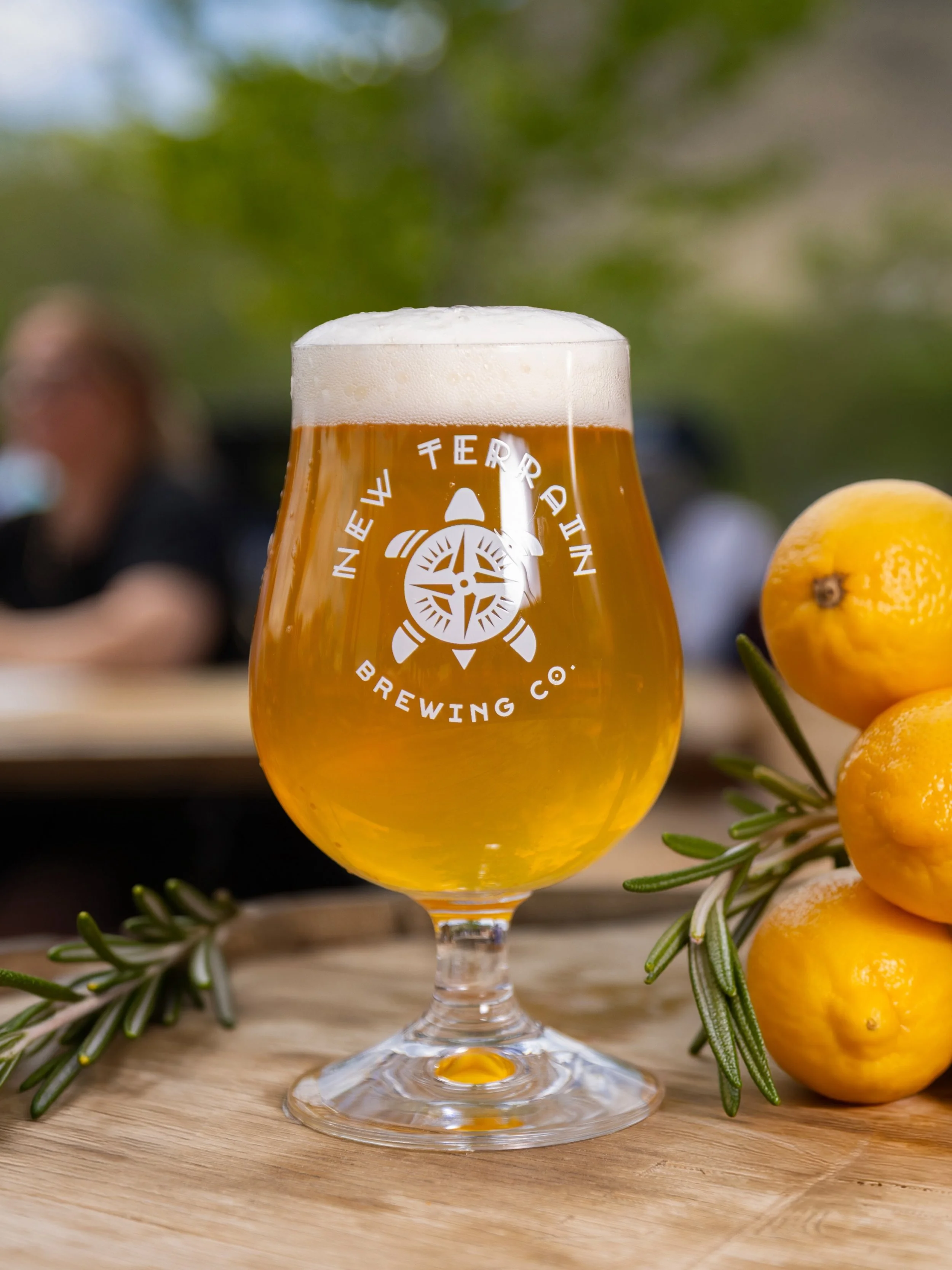 🍋🍧 Terra Firma V.36 - Lemon Rosemary Sherbet 🍧🍋

Terra Firma V.36 is our vibrant homage to the ultimate indulgence: a classic lemon sherbet. Built on a creamy sour base, it leans into smooth lemon curd notes layered with fresh Sicilian lemon and 