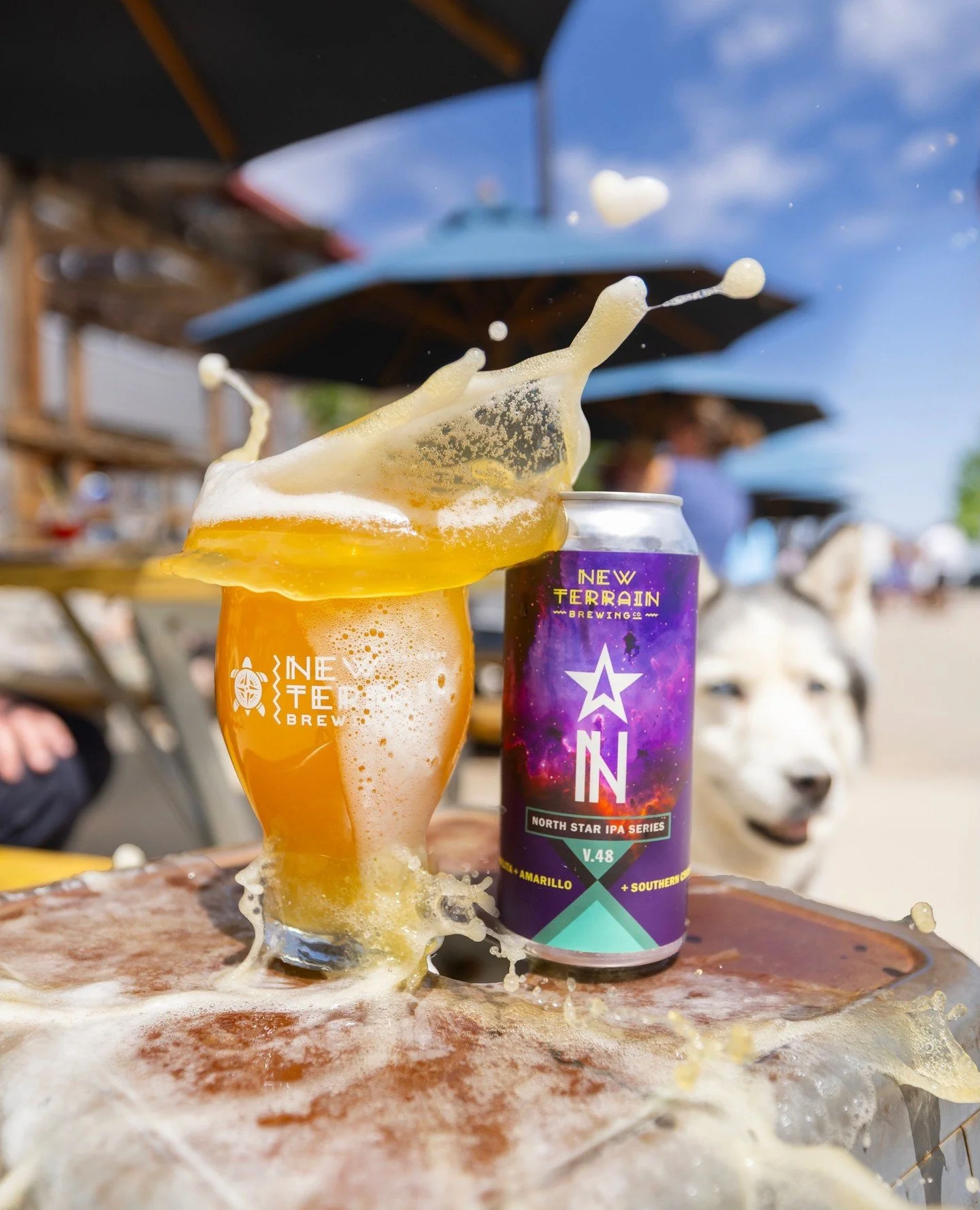 💫 North Star V.48 - Hazy IPA w/ Manilita, Southern Cross, &amp; Amarillo 💫⁠
⁠
North Star V.48 turns things up by highlighting experimental newcomer Manilita hops alongside Southern Cross and Amarillo Cryo, with the vibrant trio bringing waves of pi