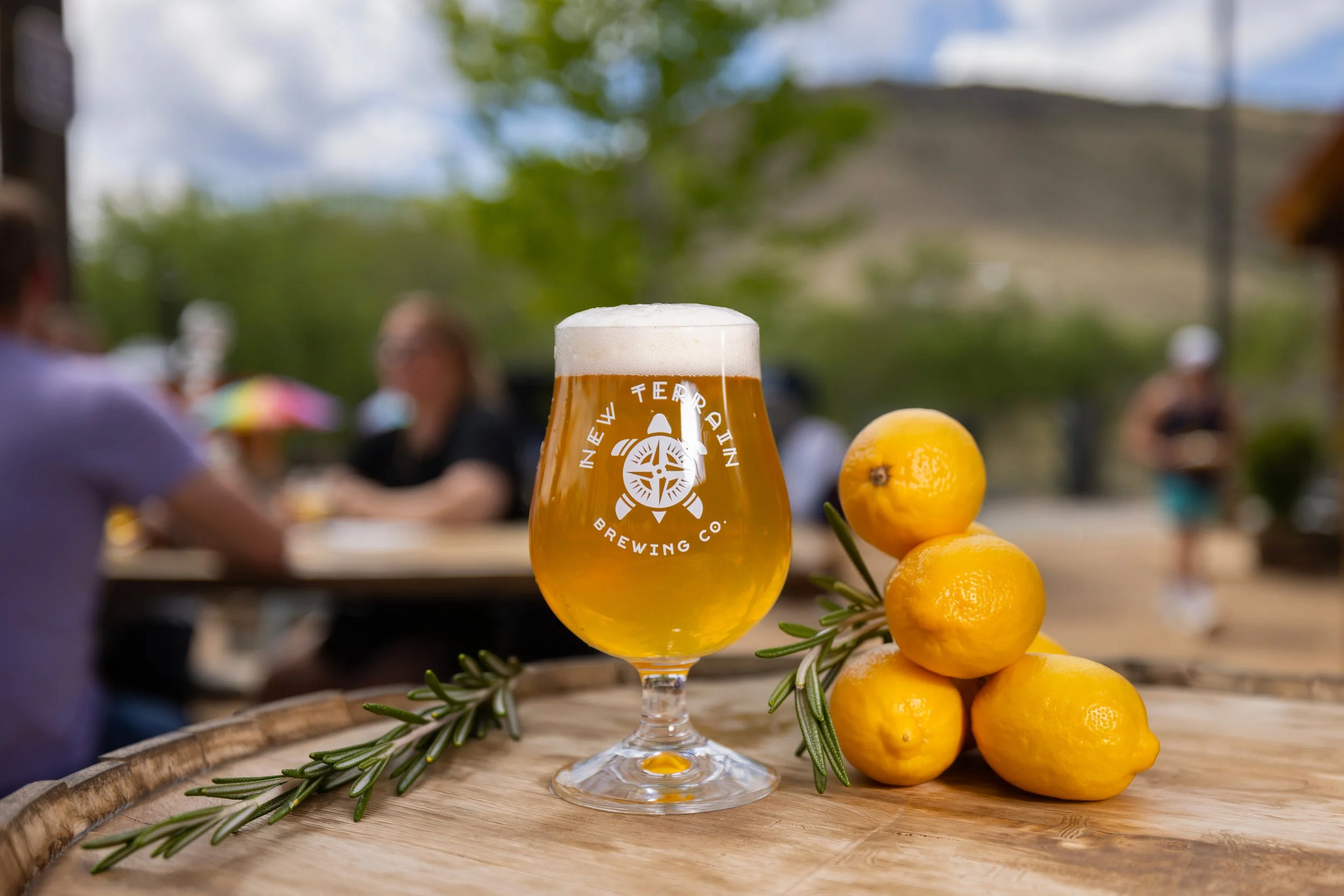 Terra Firma, Lemon, Rosemary, sherbet, sour, beer