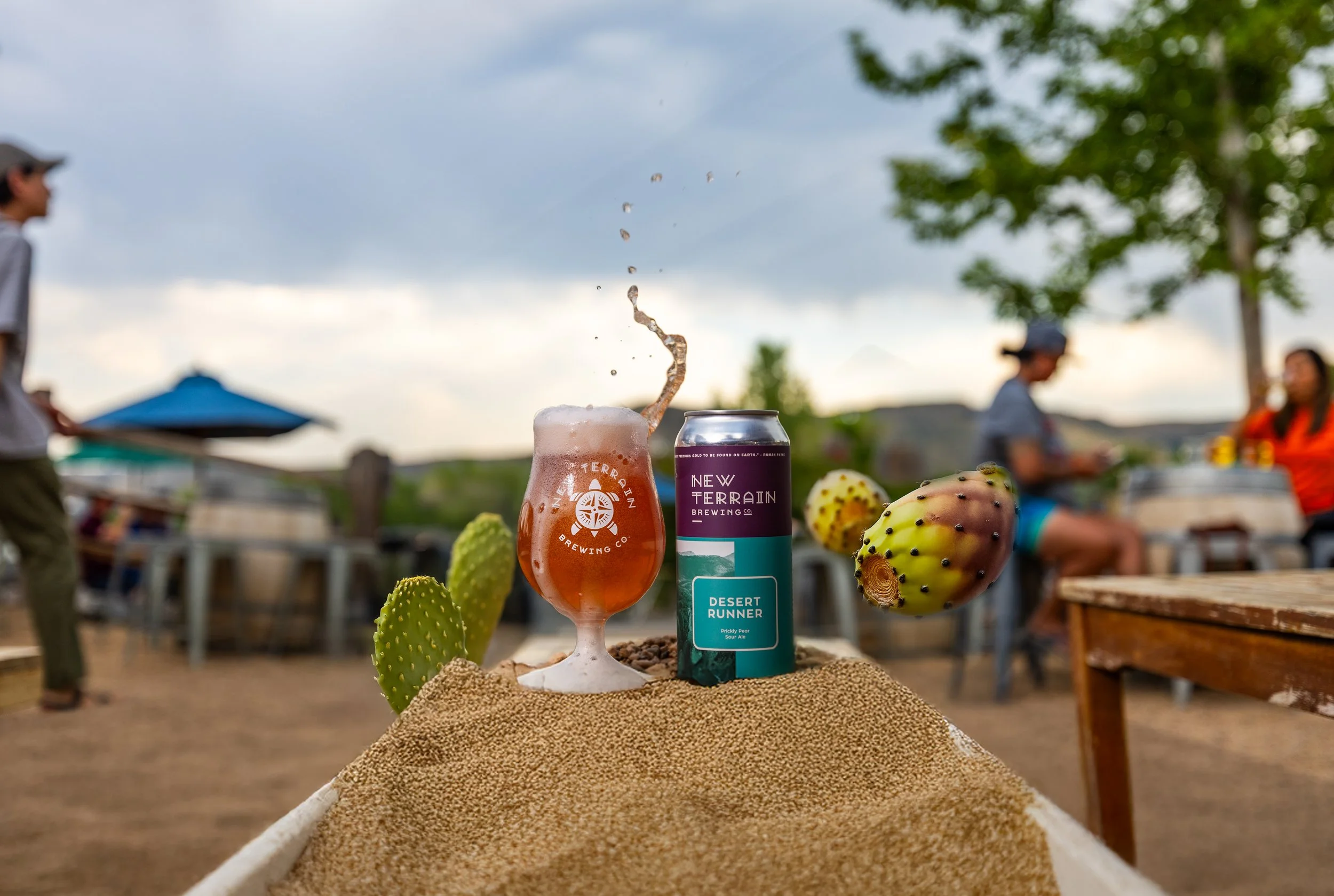 Desert Runner Cactus Fruit Gose