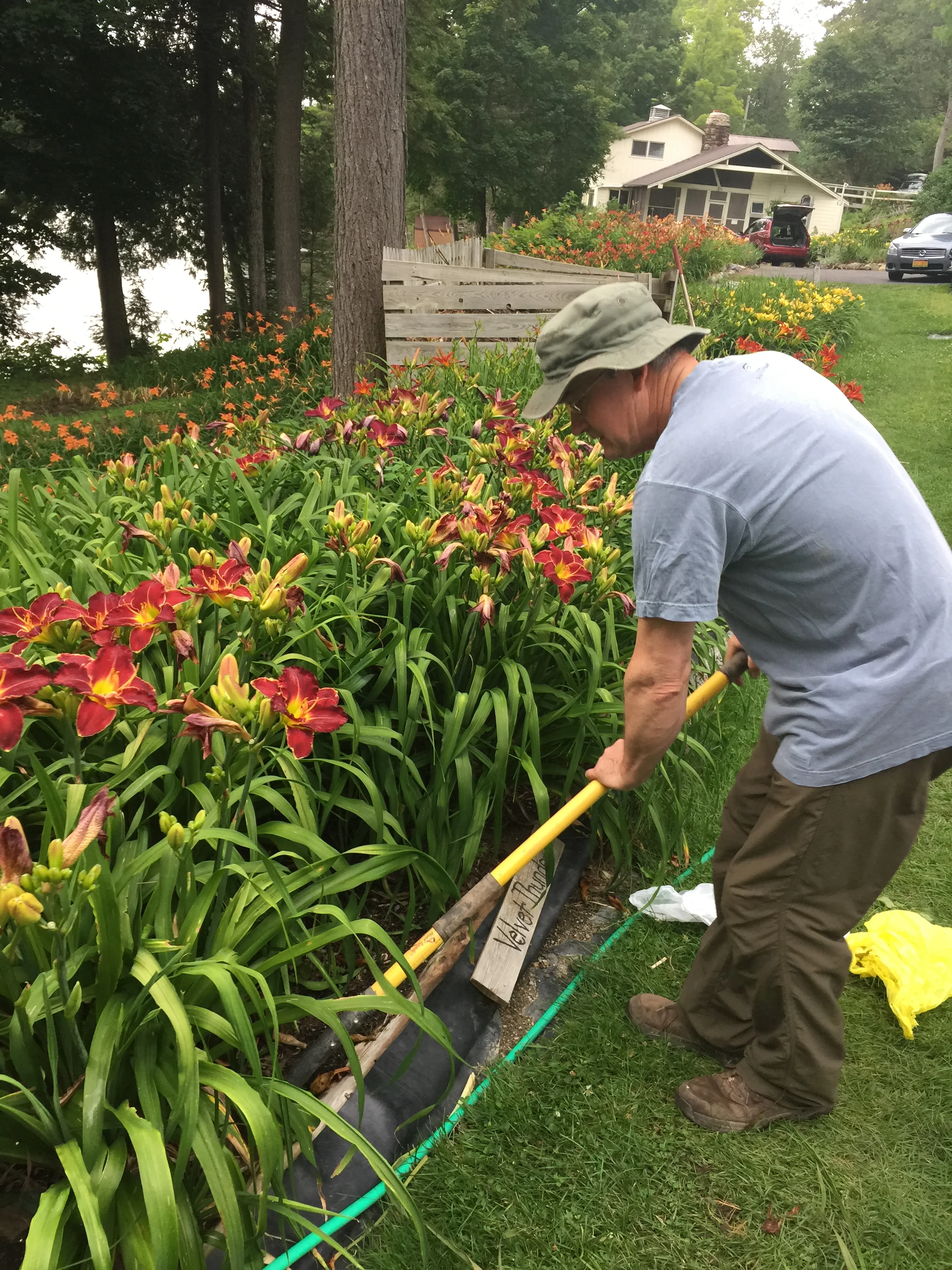 A visit to Jim's Daylilies in upstate New York — Gardeny Goodness!