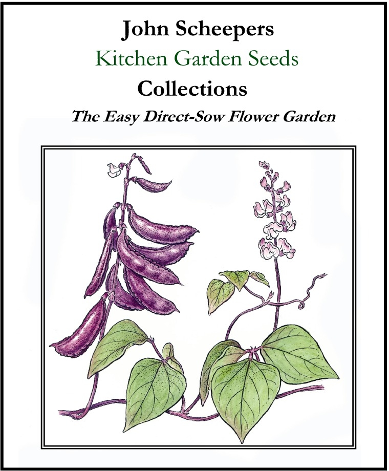 Shameless plug here, since I adore my new job! Our Kitchen Garden Seeds catalog is printing AS I TYPE THIS. I know, because I'm hanging out at the printing facility in Pennsylvania for a few days, helping to approve the proofs. SO FASCINATING!! I got to help edit the catalog this year as one of my first duties on the job, and it was so much fun. Anyway, I have a long list of seeds I'm going to try this spring, and most of them are ones that you can sow directly into the garden. This is a collection of easy self-sower flowers !