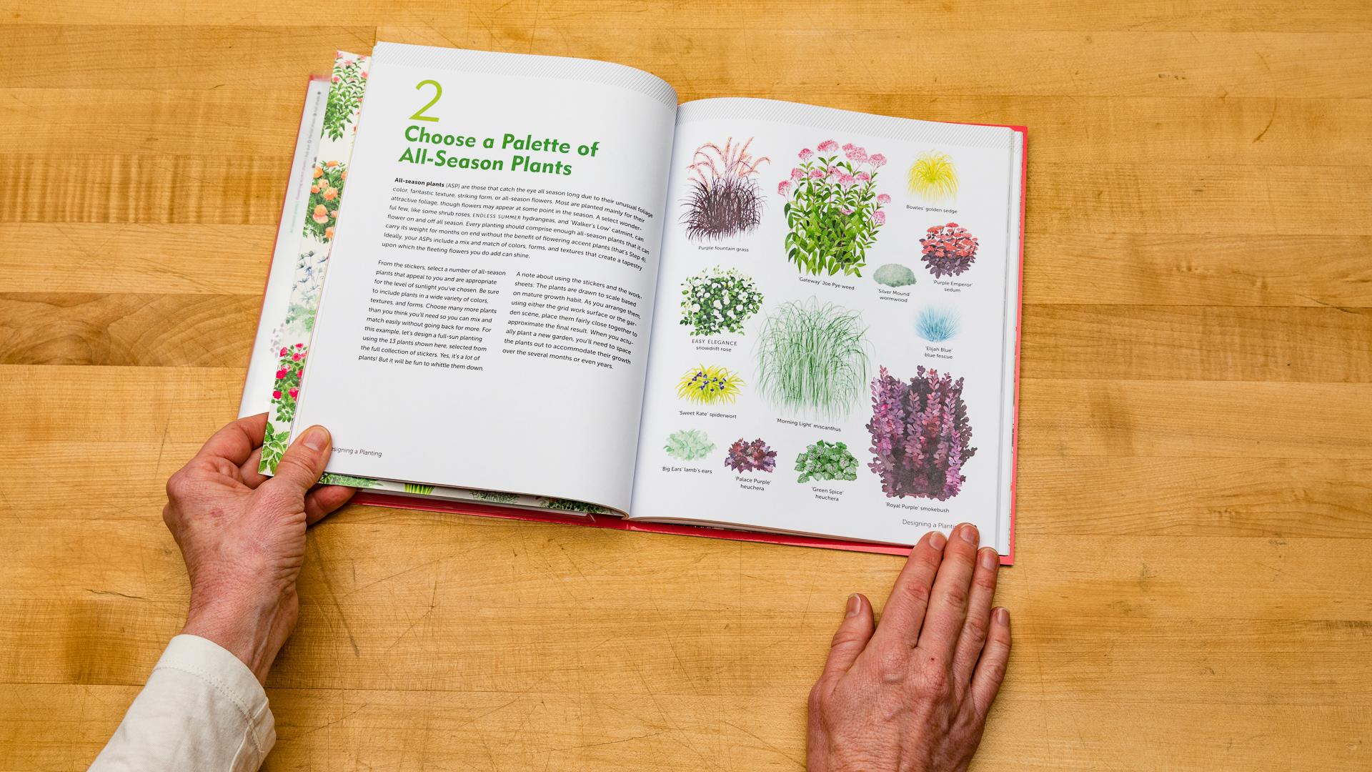  The book offers a simple 5-step method for combining plants in pleasing ways. 