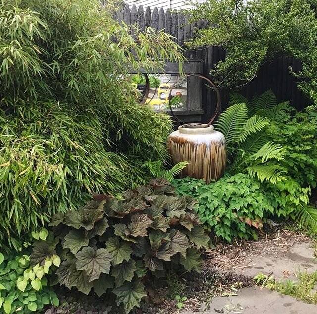 Who needs flowers? Ok sometimes I do. But this little corner makes me very happy without them. #foliagefirst #clumpingbamboo #heuchera #epimedium #boxwood #ostrichfern #goatsbeard #andweedsofcourse #mirrorsingardens