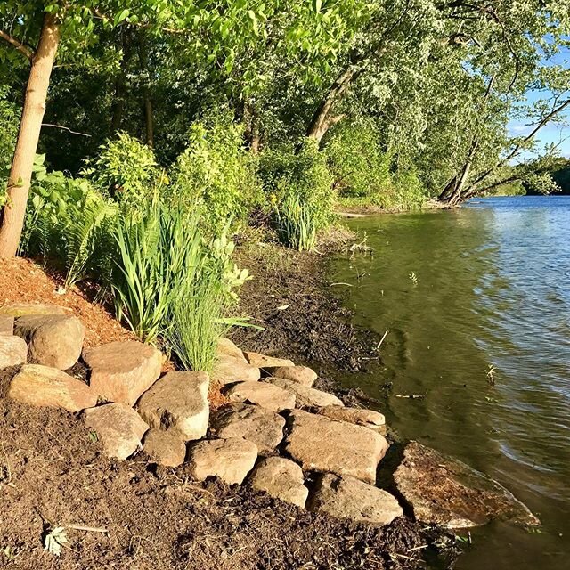 @opus_curiosus has been doing some landscaping down by the river! These stone steps into the water are the first stage of our kayak launching area. Without them you sink up to your knees in mud. #riverlife #kayaking #boatlaunch #housatonicriver #stonework #hessohandy