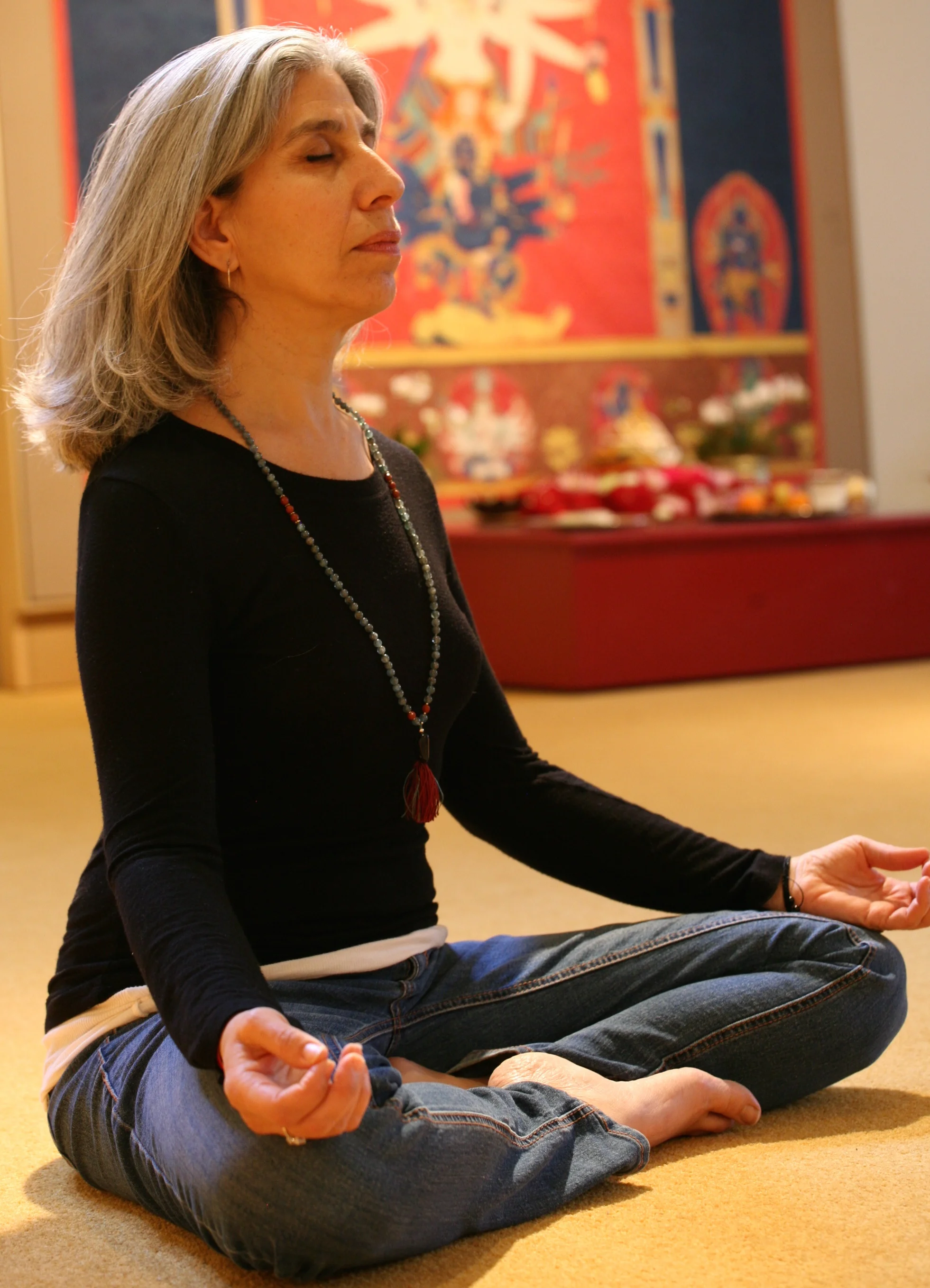 Introduction to Trika Yoga Practice