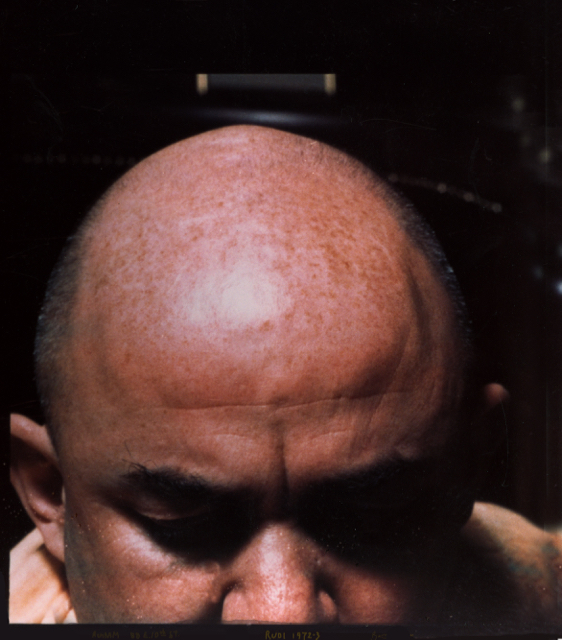 Swami Chetanananda's guru, Rudi