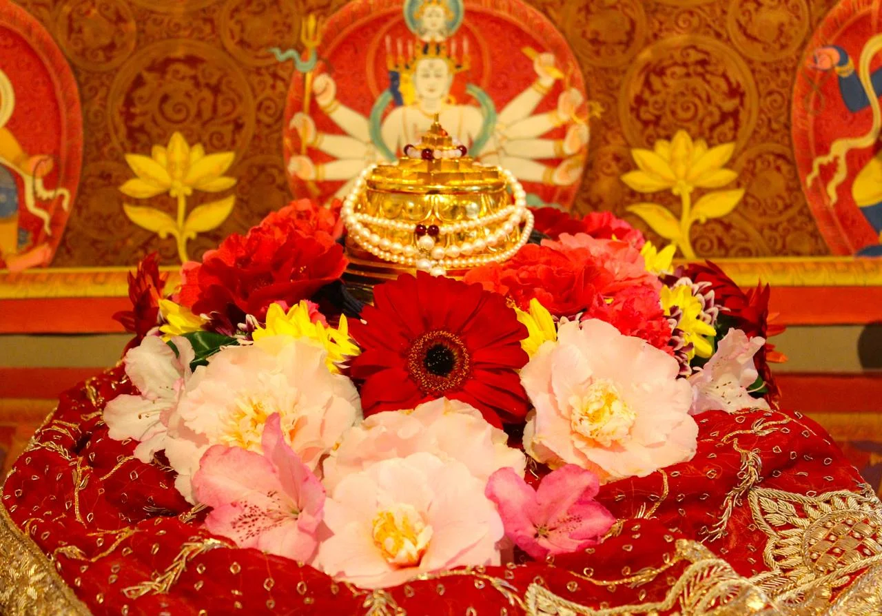 sri chakra beauty.jpg