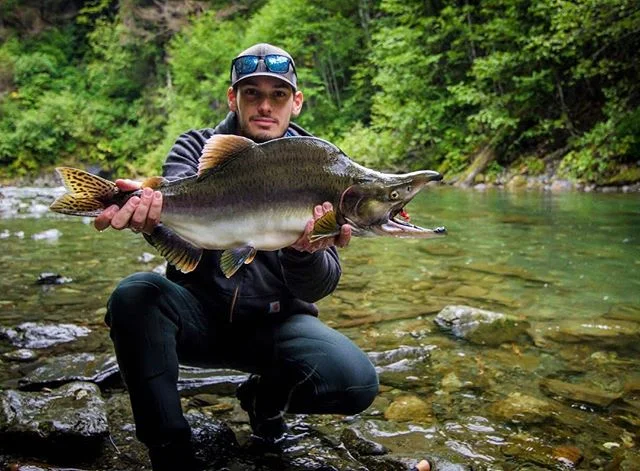 Humpback in #Sitka on a fly. .
.
.
.
.
#ak #alaska #flyfishing #wild #wilderness #fishfighter #salmon #pink #pinksalmon #humpback #river #pnw #neverstopexploring #getoutside #fish #fishing