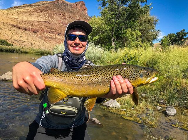 Pig. #owyhee #river #browntrout #oregon #or #flyfishing #moonshine @moonshinerods @orvis #avc