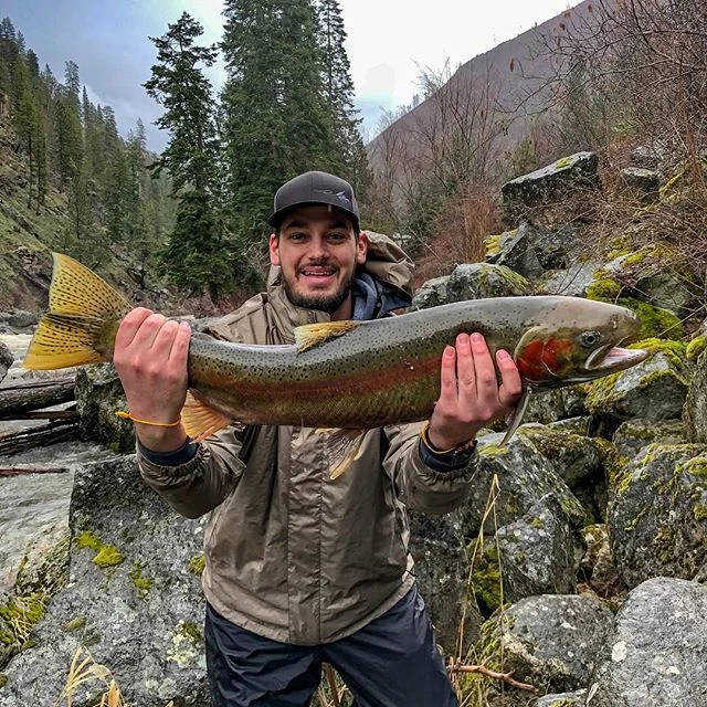 Back on some monsters.
.
.
.
.
.
#steelhead #idaho #fishing #clearwater #river #fish #idahome #pnw #pacificnorthwest #trees