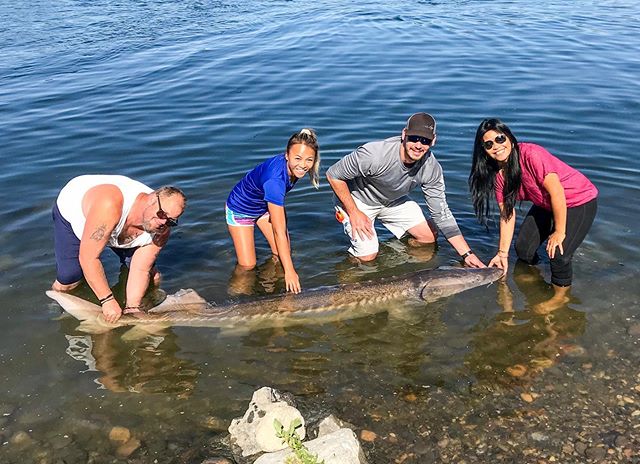 I think I got this sturgeon thing figured out. Thanks for the help @noysauce @mrmann208 .
.
.
.
.
#sturgeon #fishing #fishon #id #idaho #snake #water #rivers #fish #dino