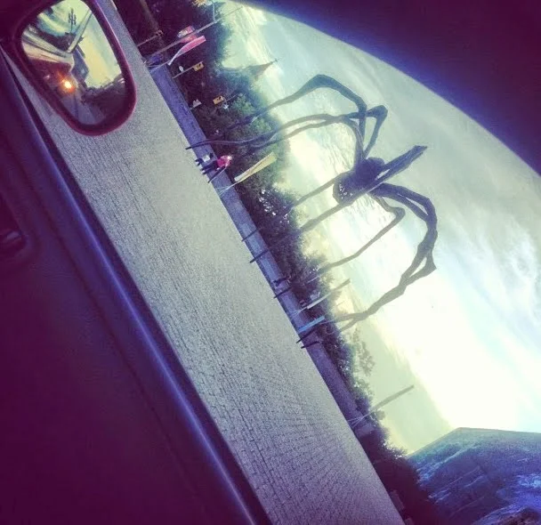 Ottawa, Spotted International Art