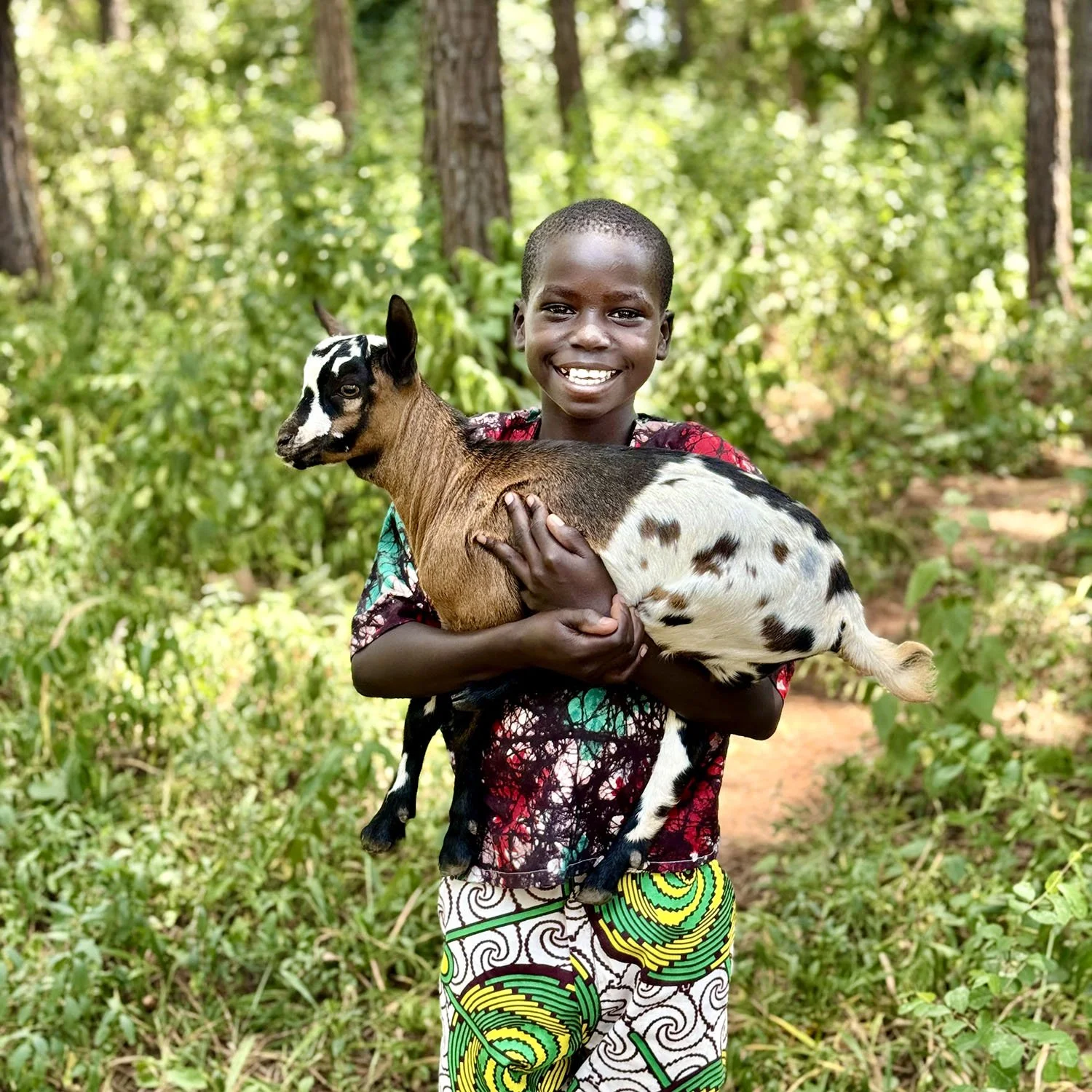 Give a Goat