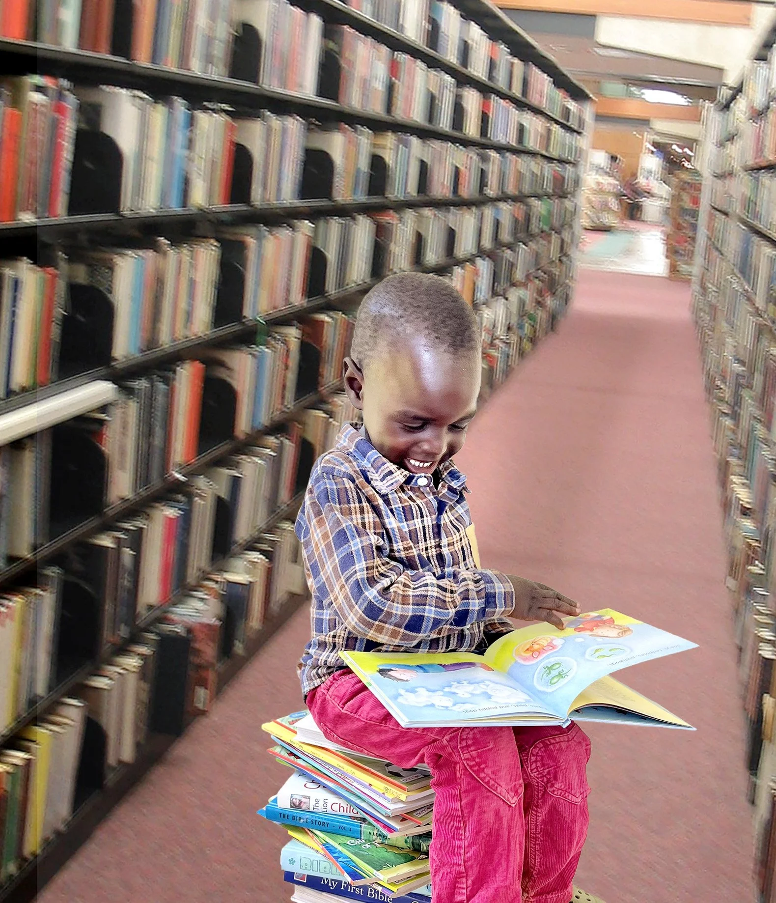 Build a Library & Learning Center