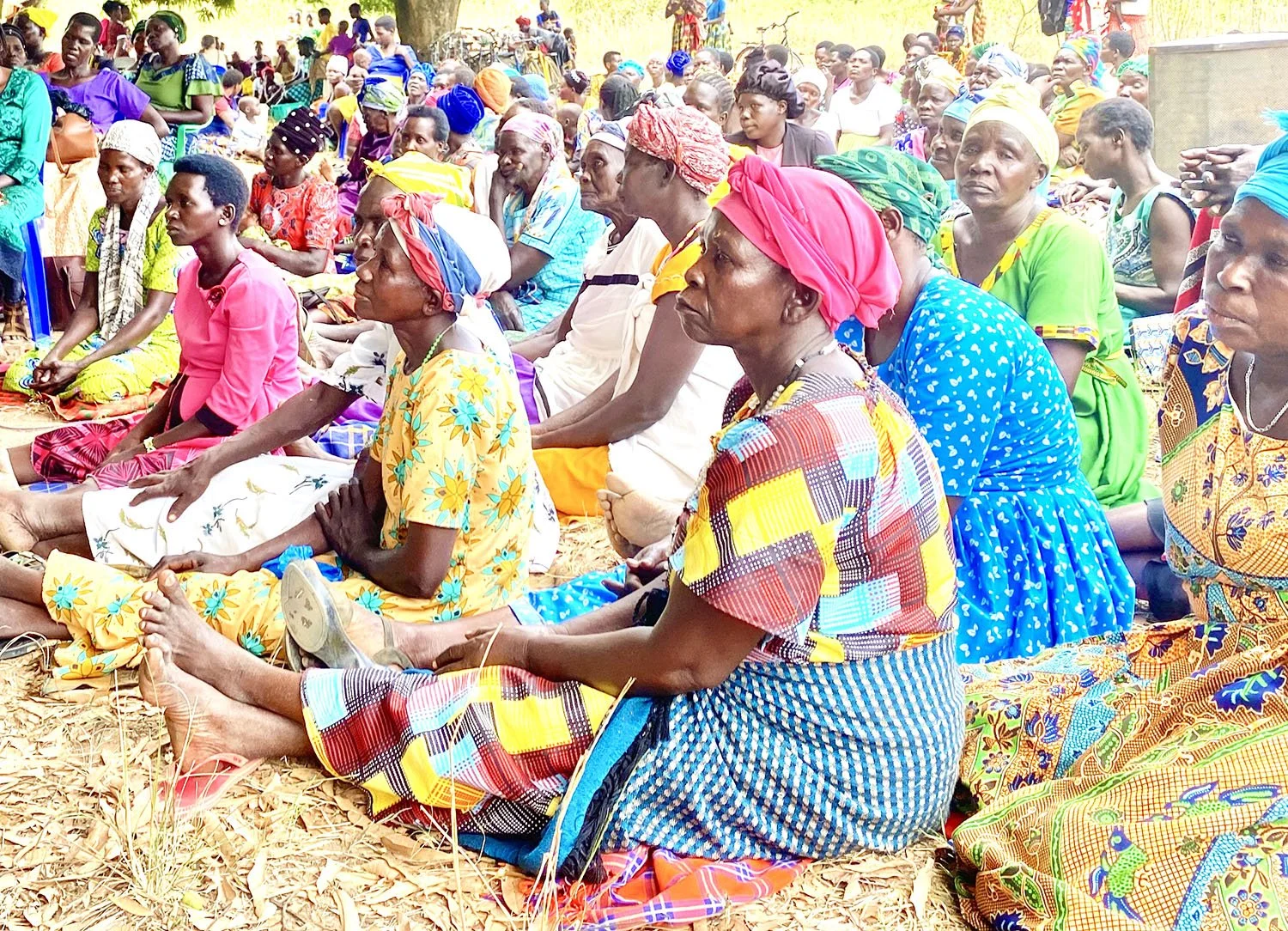 Provide Trauma Healing