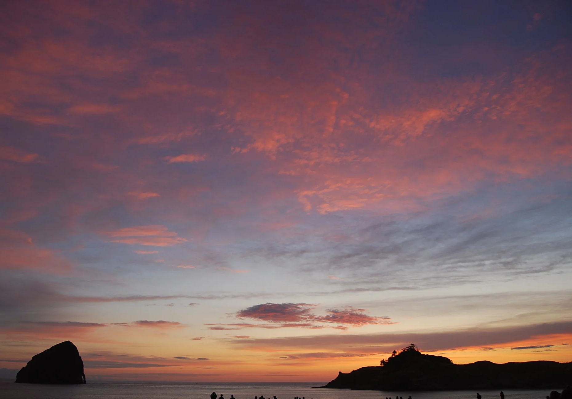 DSC_0411.png