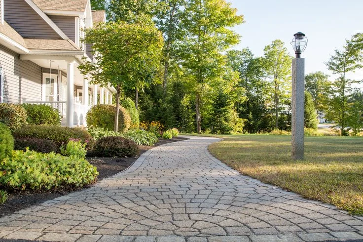 How to Landscape on a Budget