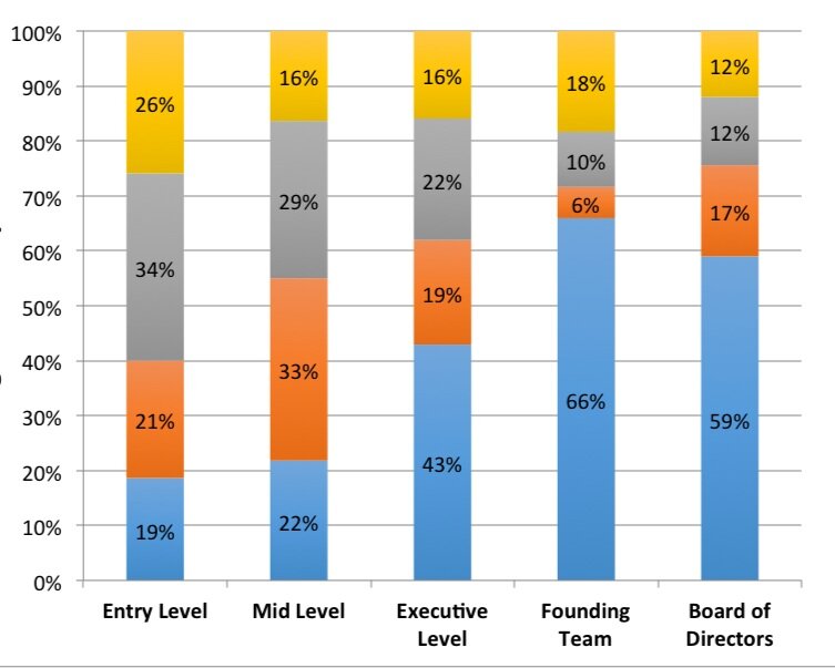 A stacked bar chart is depicted with a vertical access listing percentages, from 0% at the bottom to 100% at the top. five bars are visible, with labels of: entry level, mid-level, executive level, founding team, and board of directors.