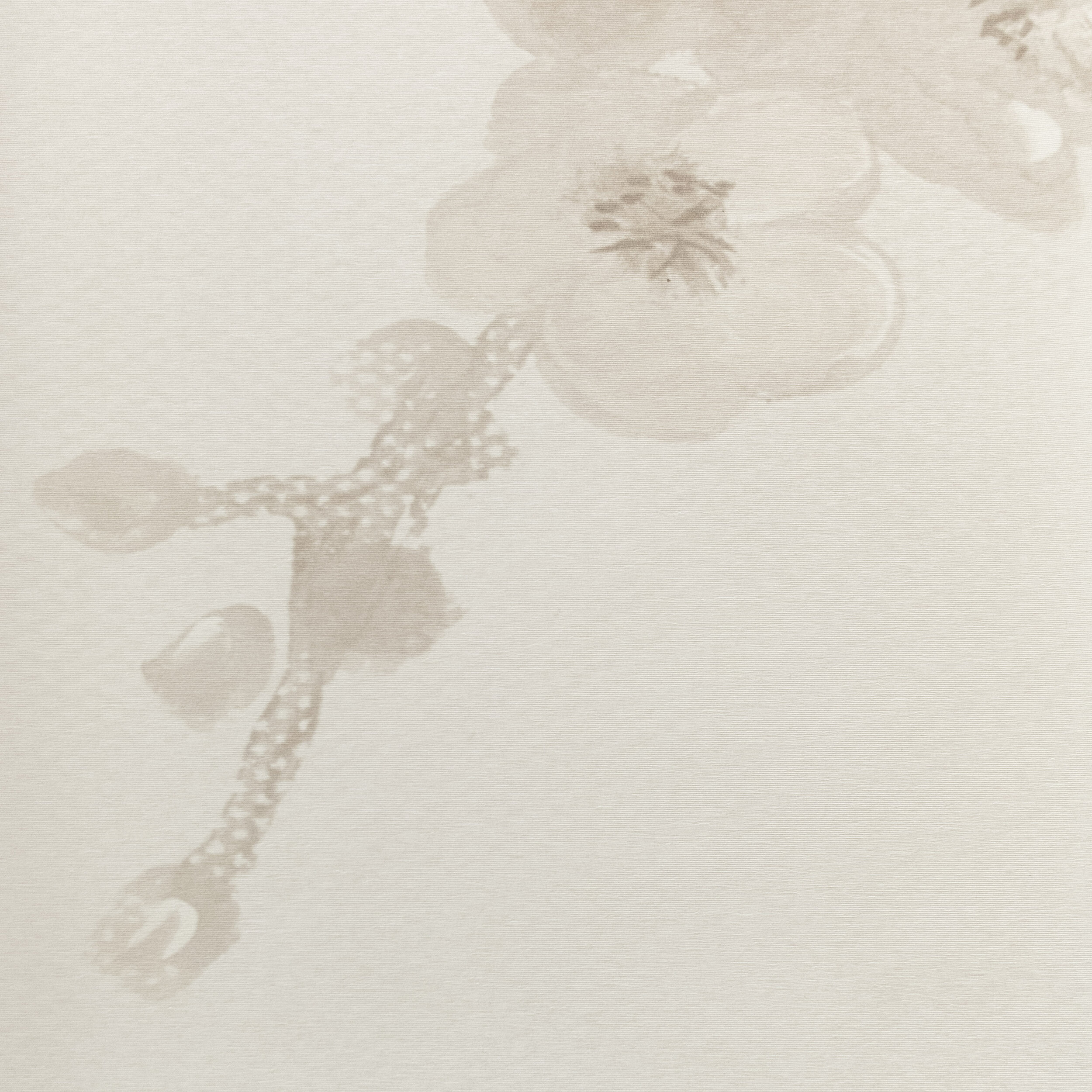 Cerisier Winter CloseUp.jpg
