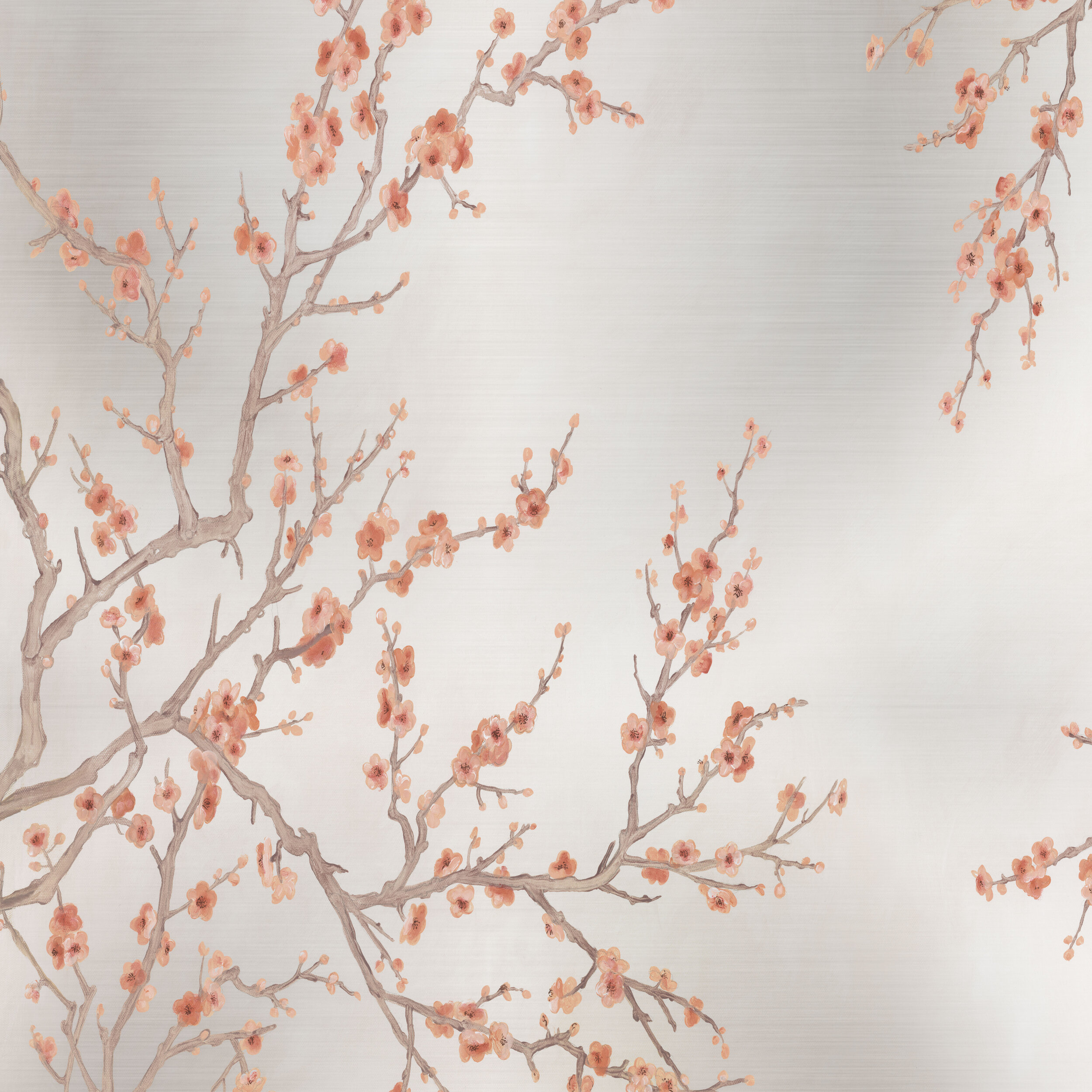 cerisier-spring-large copy.jpg