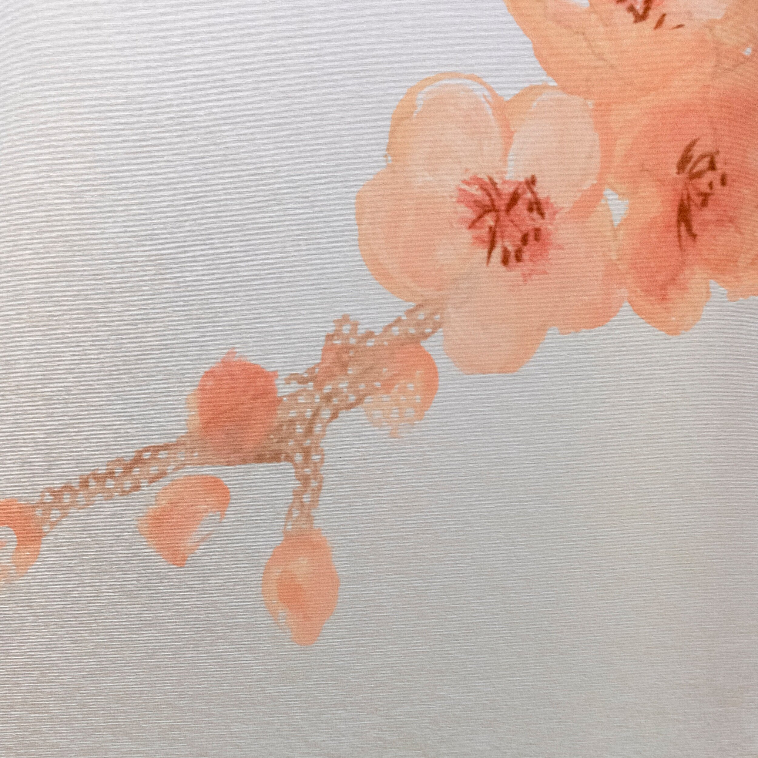 Cerisier+Spring+CloseUp.jpg