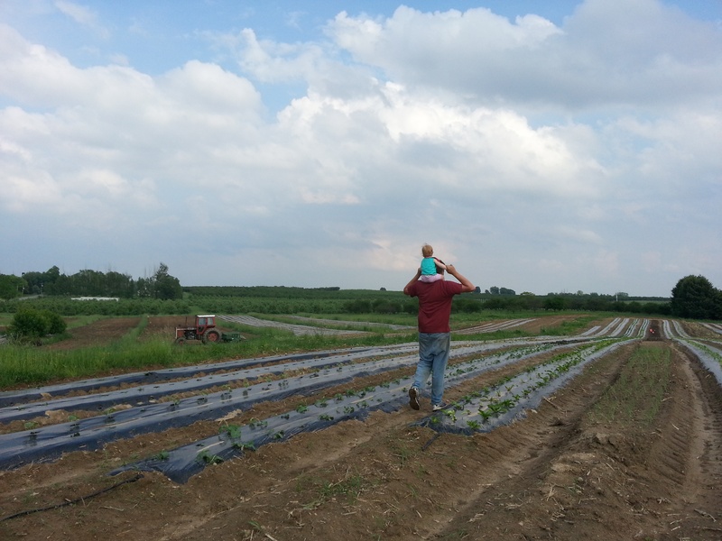20130529_173653.jpg