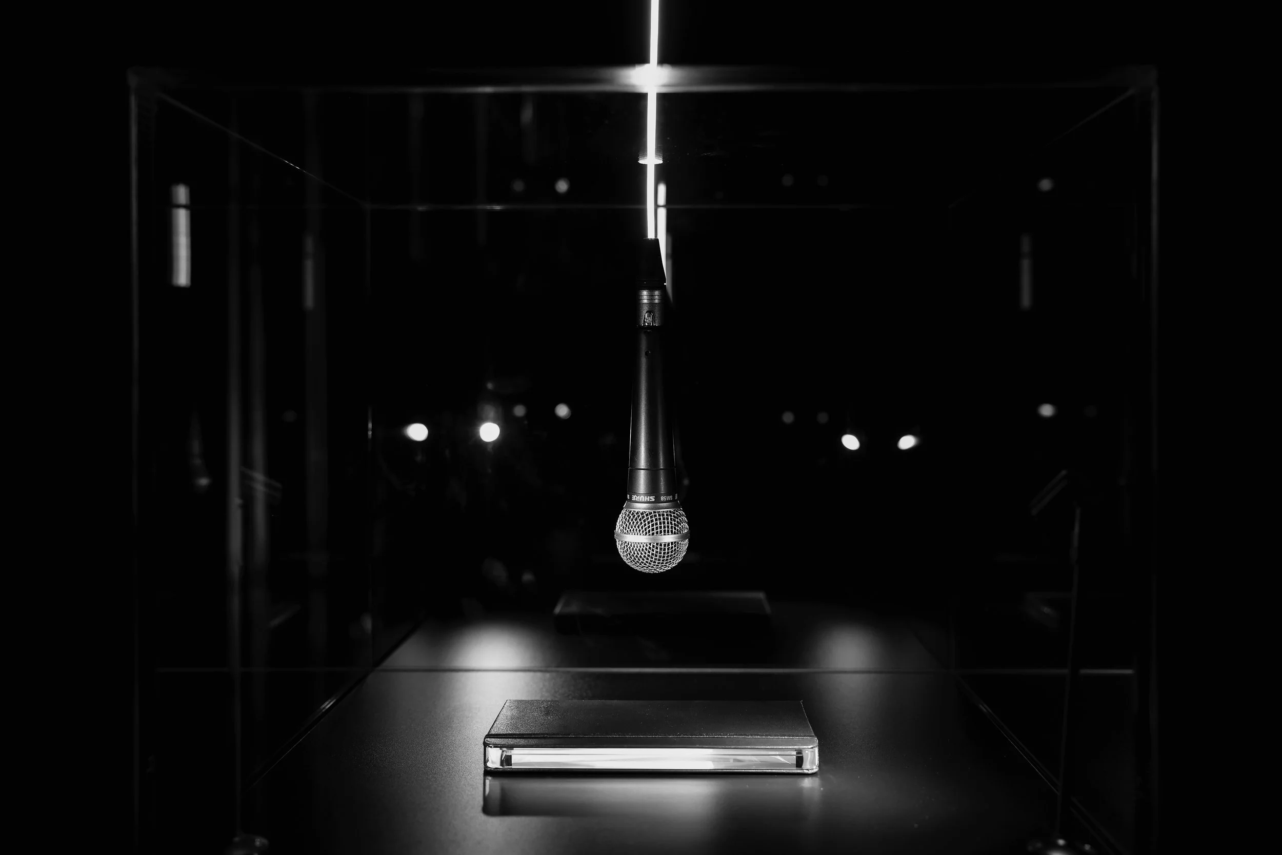 H+  VOICE BOX_MID_BW.jpeg