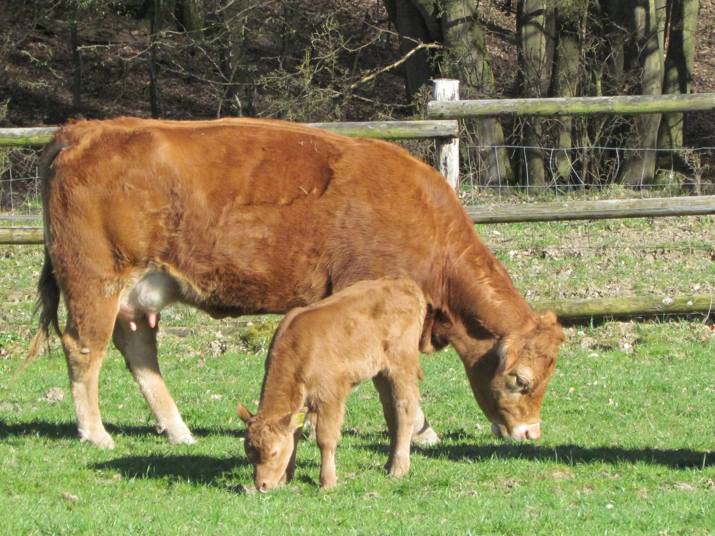  Eine Frage der Haltung 