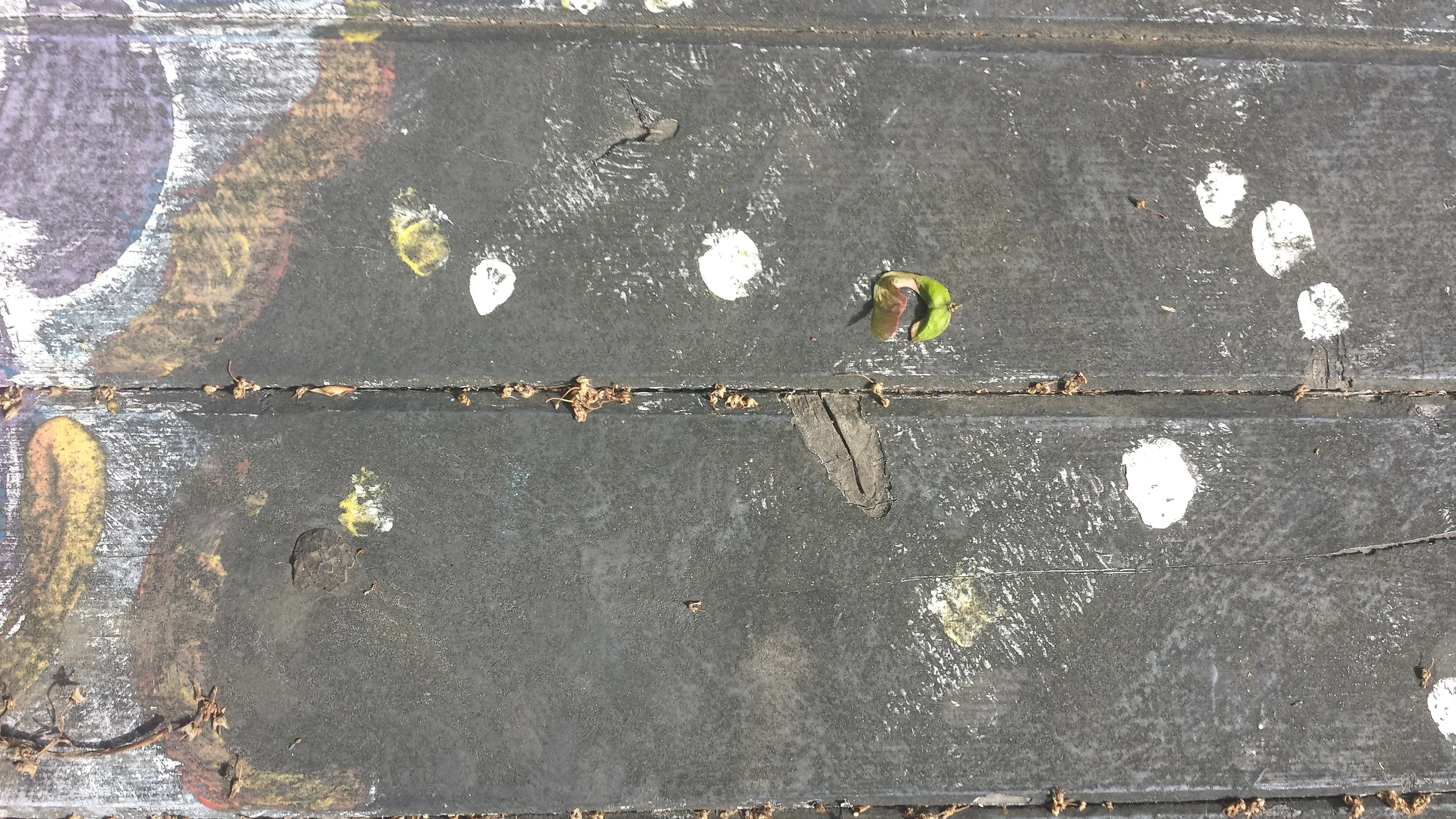 20150617_161617.jpg