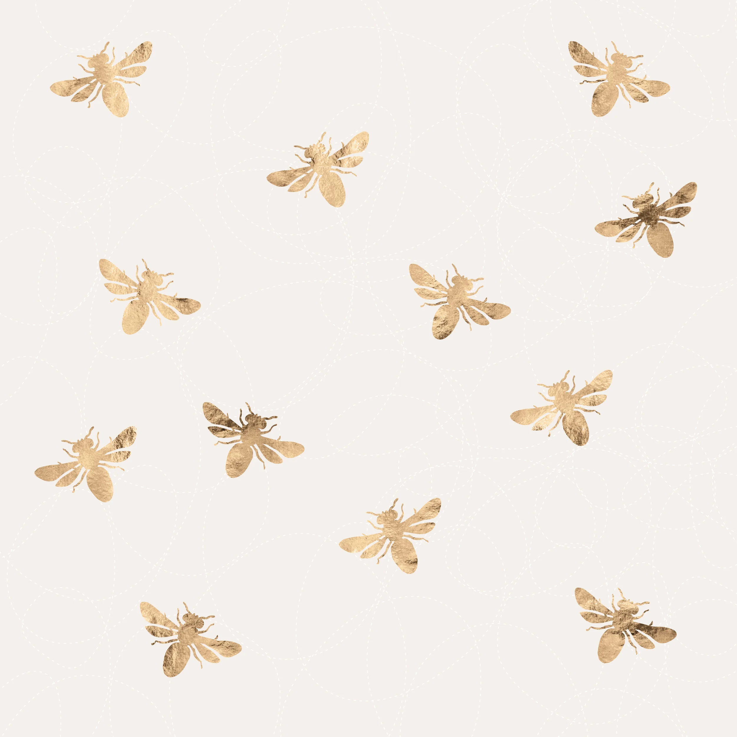 [untold] sideline stories: Houston's first class