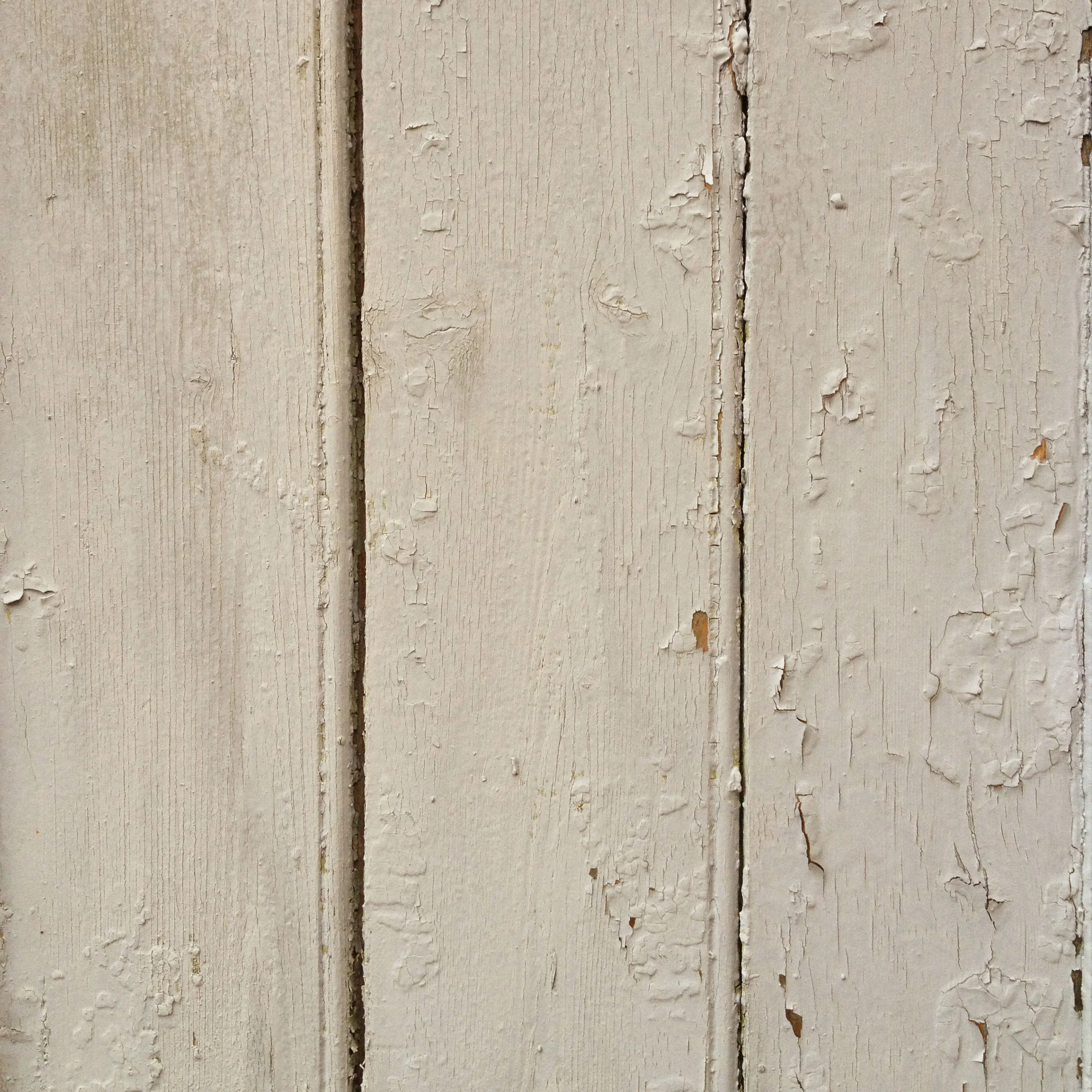 #NNPChristmas Favorite Things