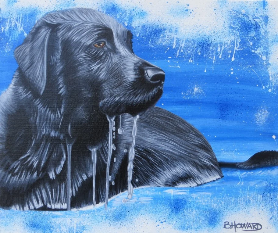 Black Labrador
