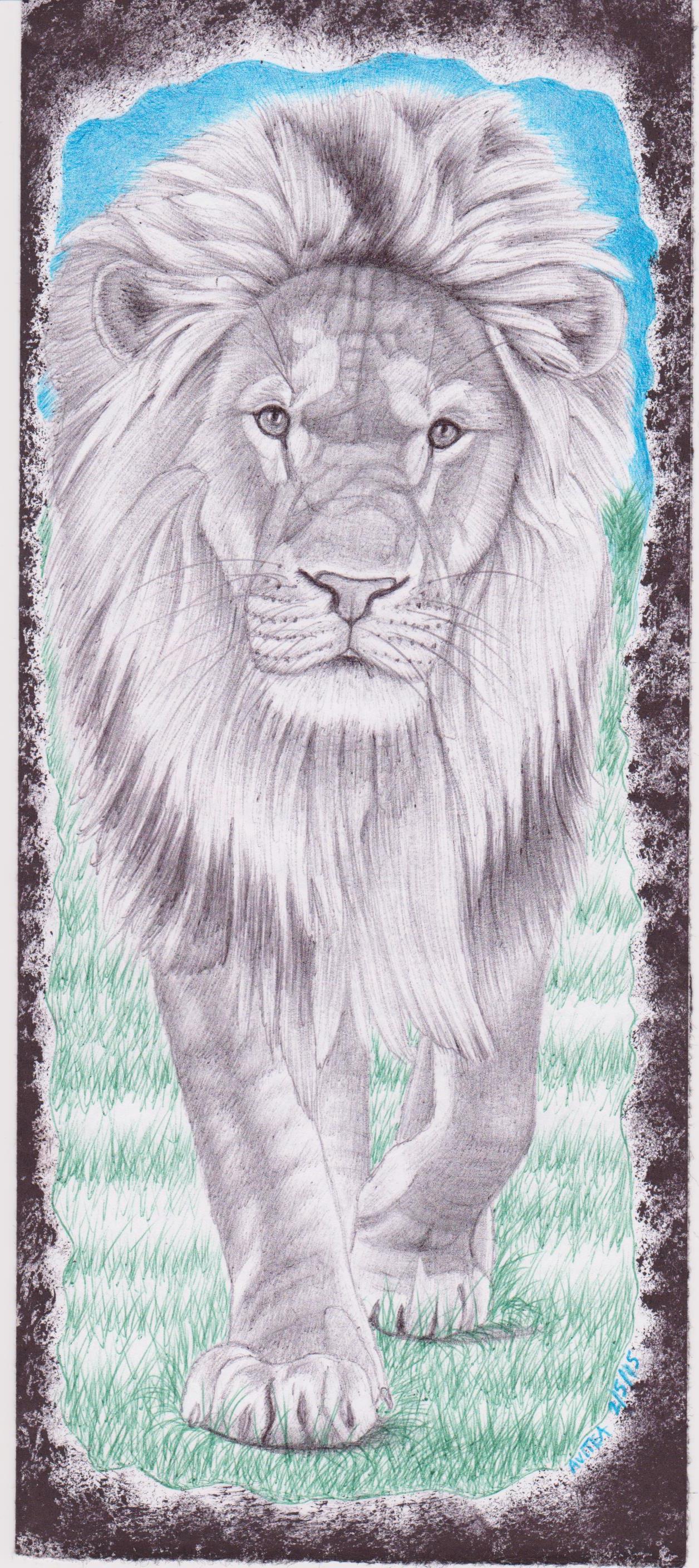 Lion by Christopher Avitea 001.jpg