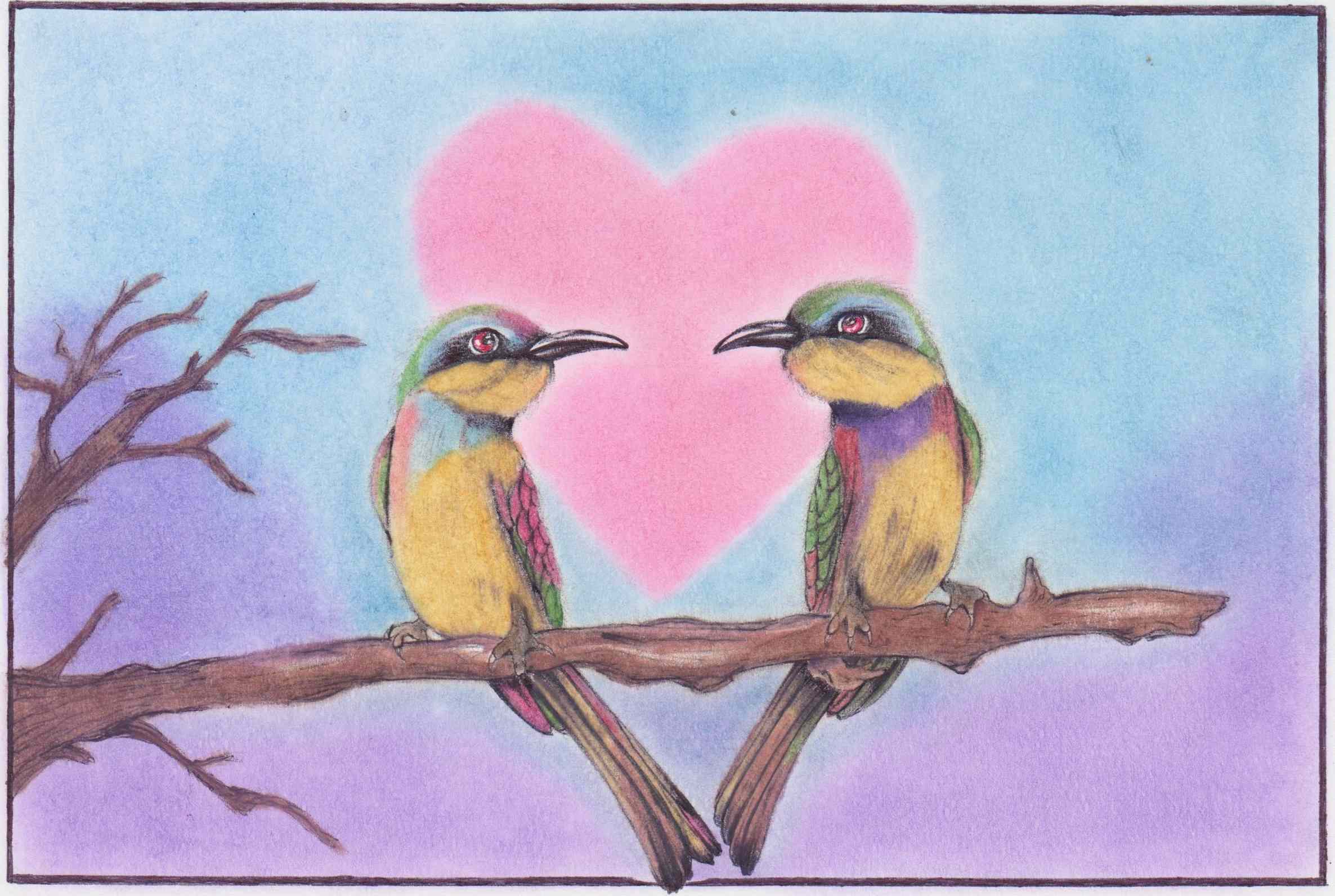 Love birds on a branch.jpg