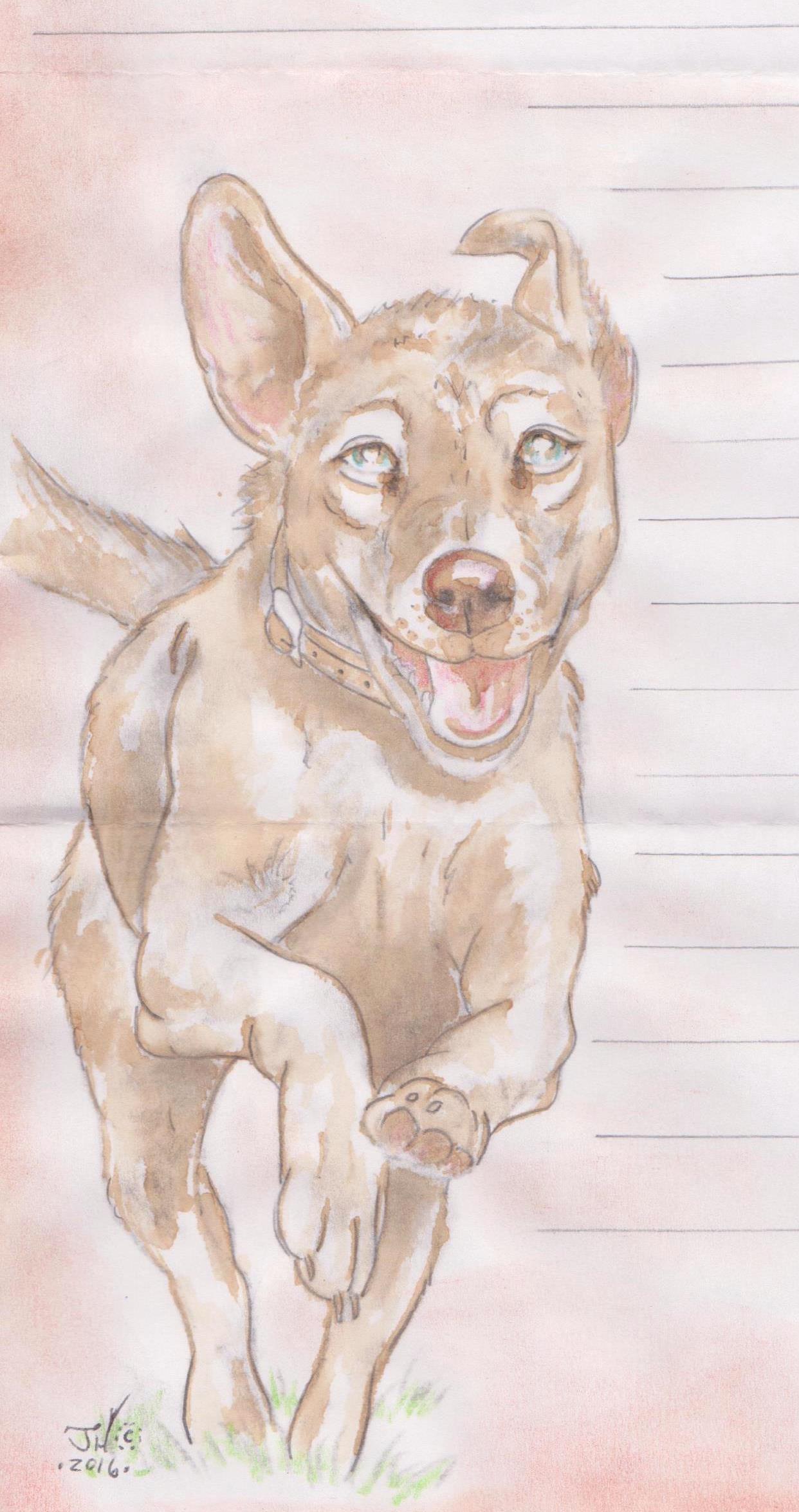 Happy Dog art by Jeremy Hammill 001a.jpg