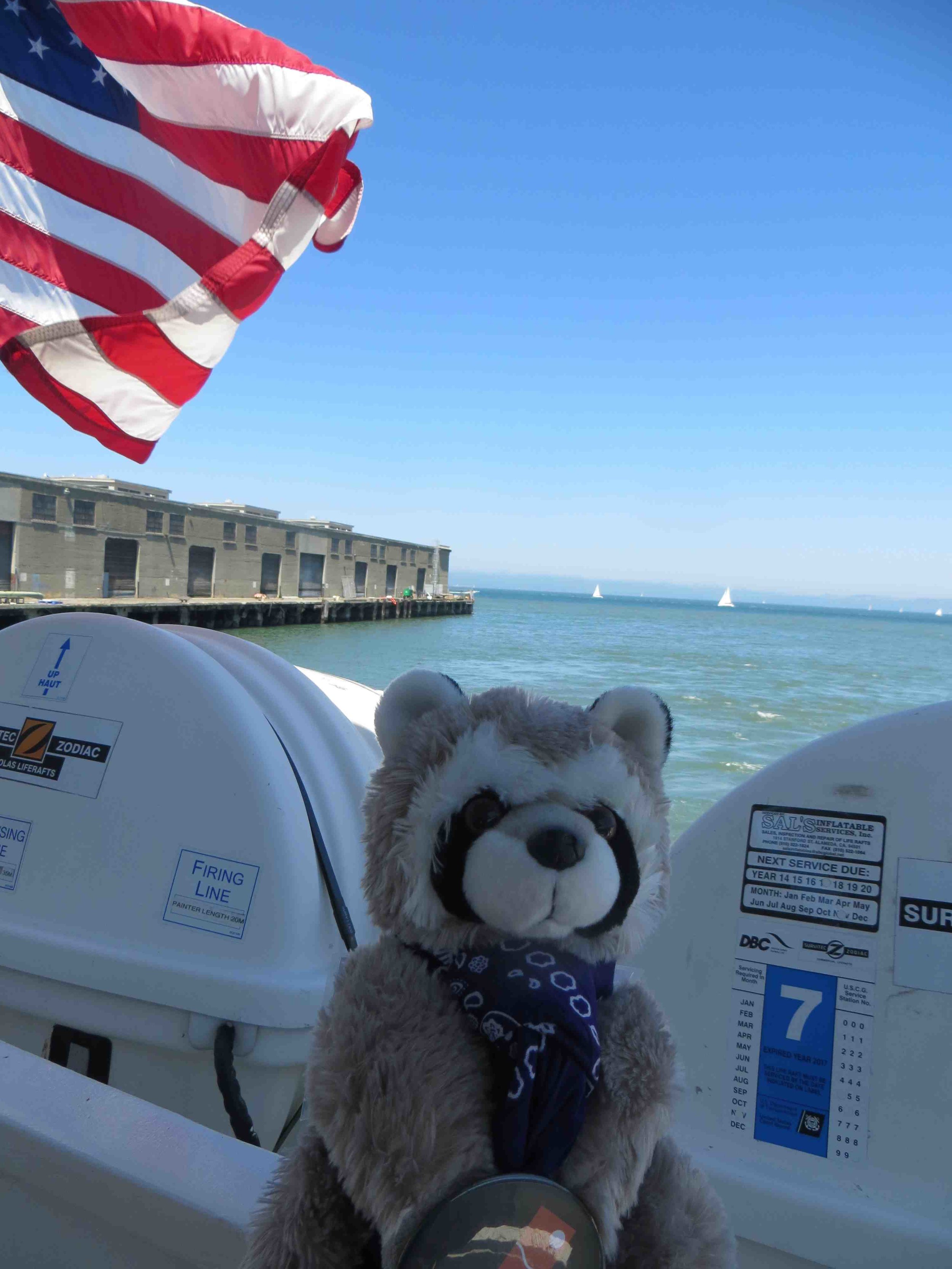 Rapahel the Raccoon on the Alcatraz Cruises Ferry -003.jpg