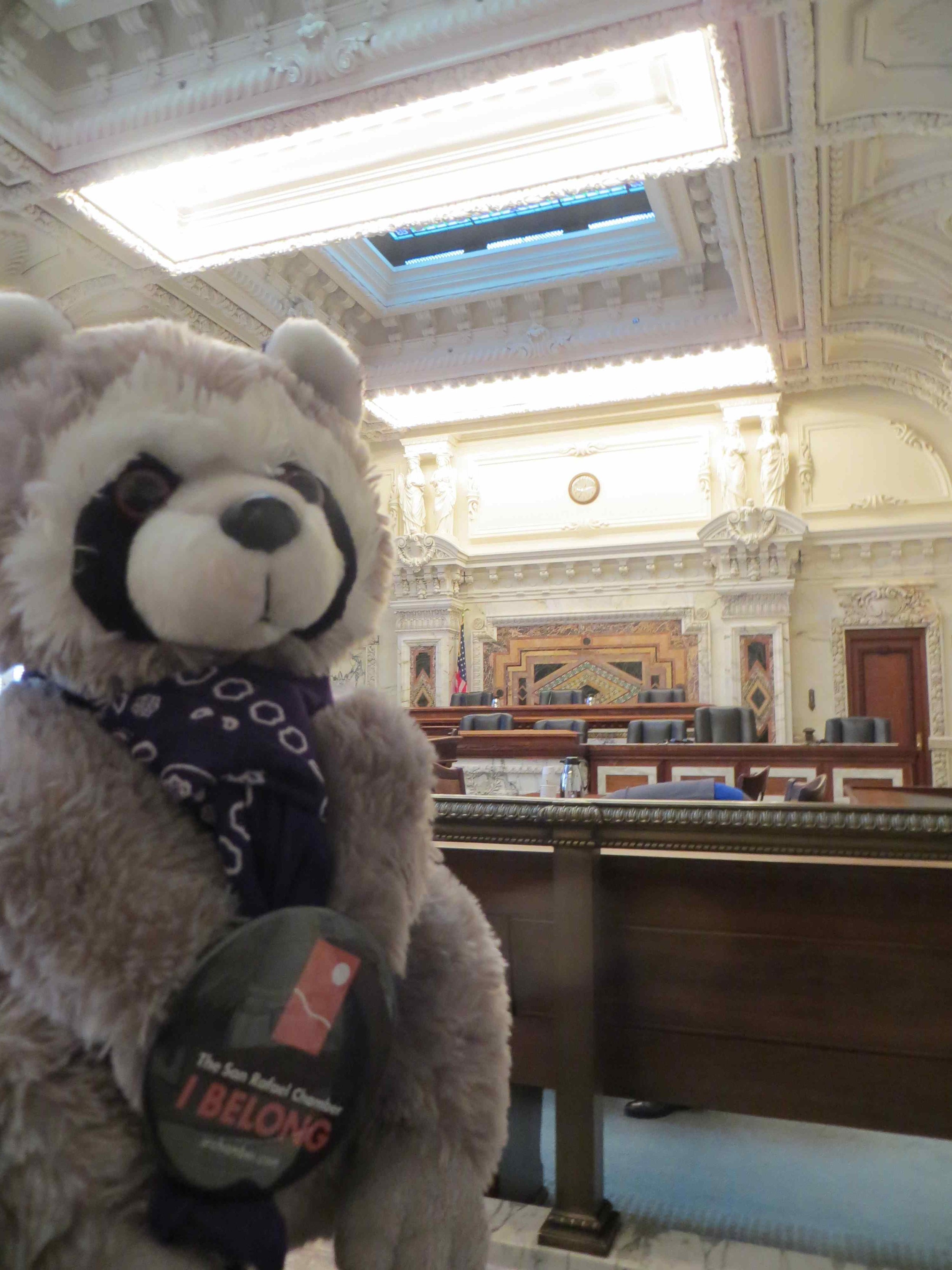 Raphael the Raccoon SRCOC Mascot at San Francisco Courthouse-008 - Copy.jpg