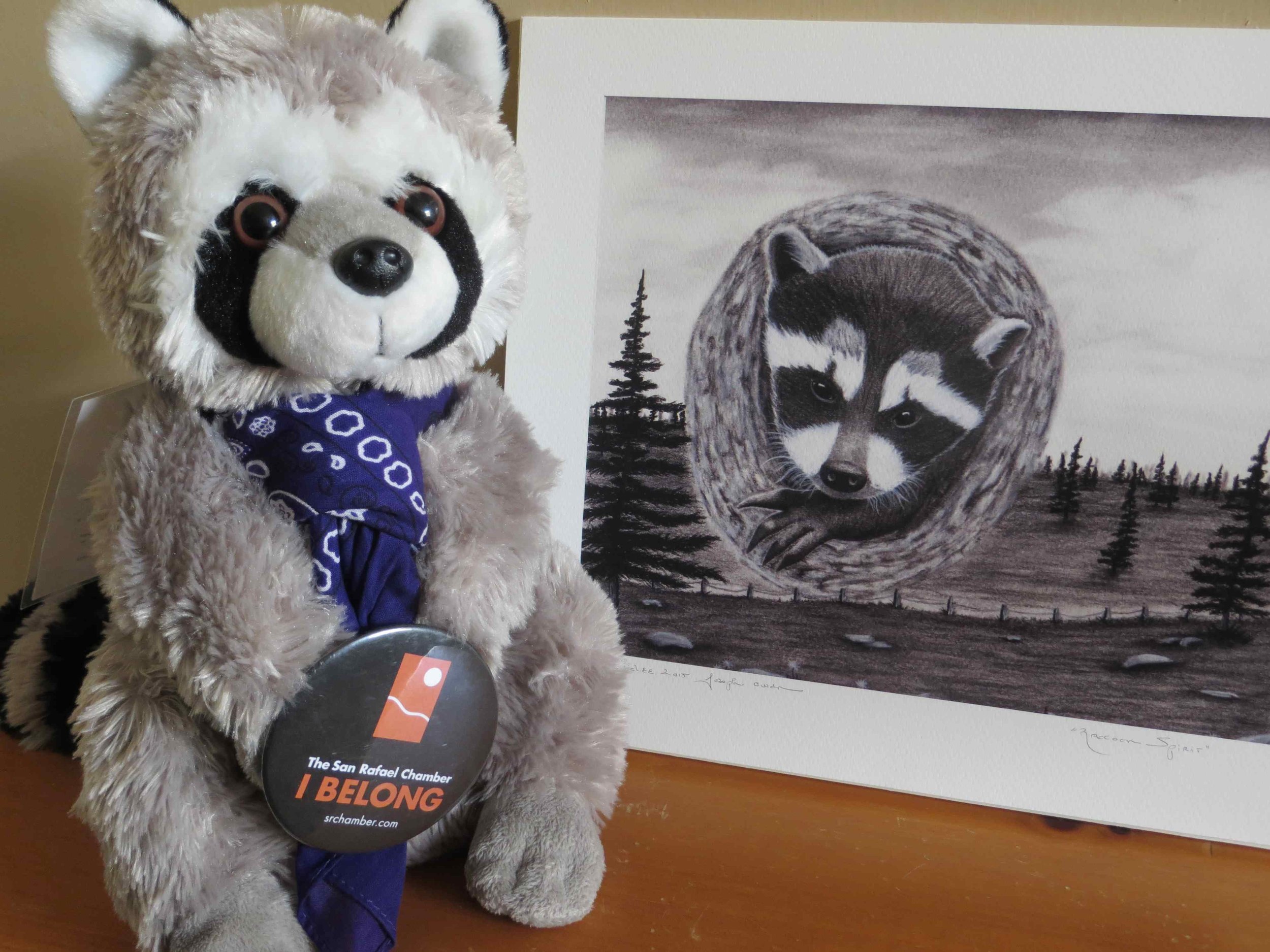 Raphael the Raccoon SRCOC Mascot with original drawing by Joseph Owen-016 - Copy.jpg