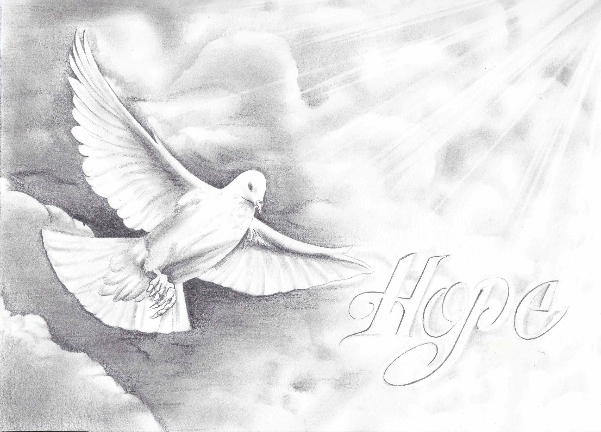 HOPE by Andrew Valencia-IMG_20171125_0004 - Copy.jpg