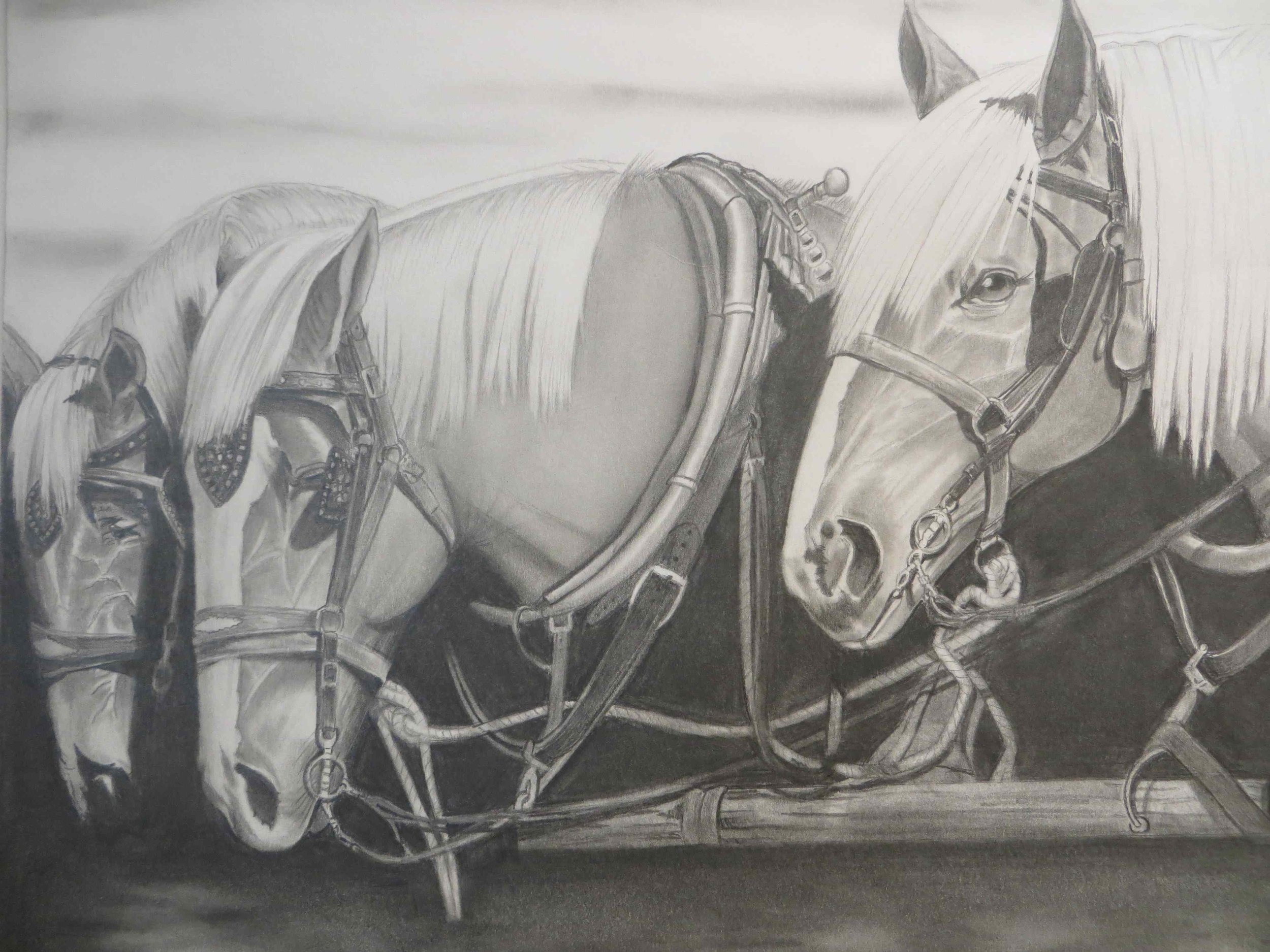 Three horses pencil drawing -002.jpg