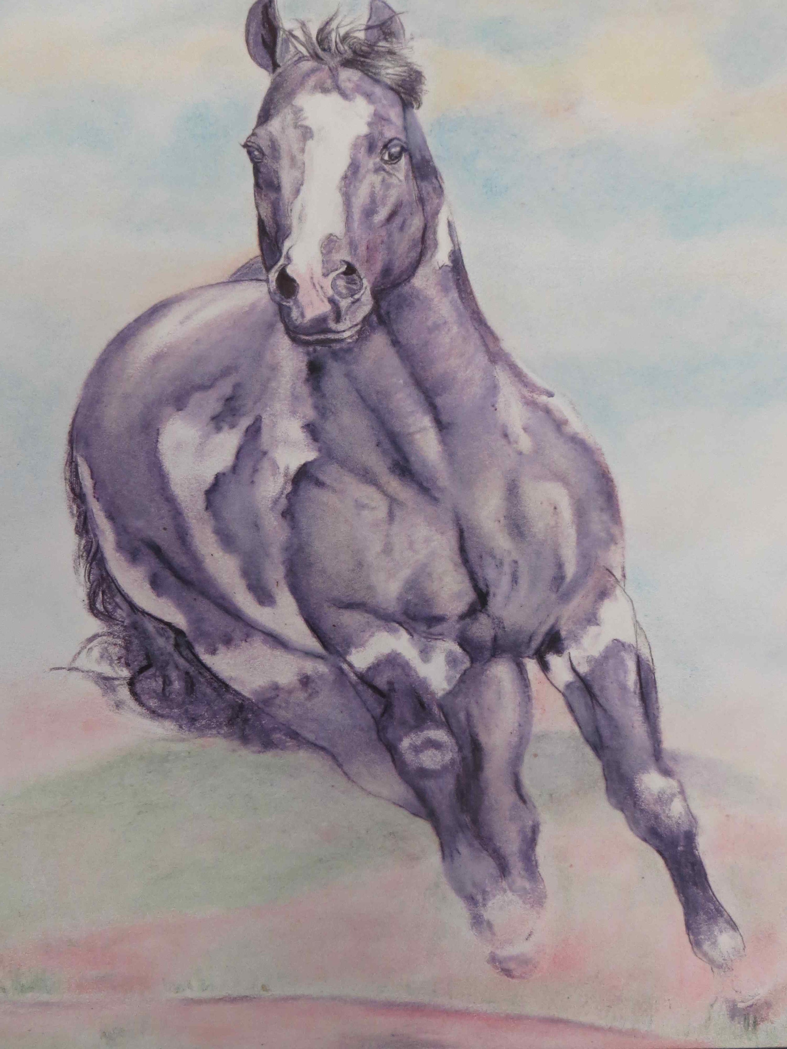 Horse painting watercolor by Whammo Sammo Texas-004 - Copy.jpg