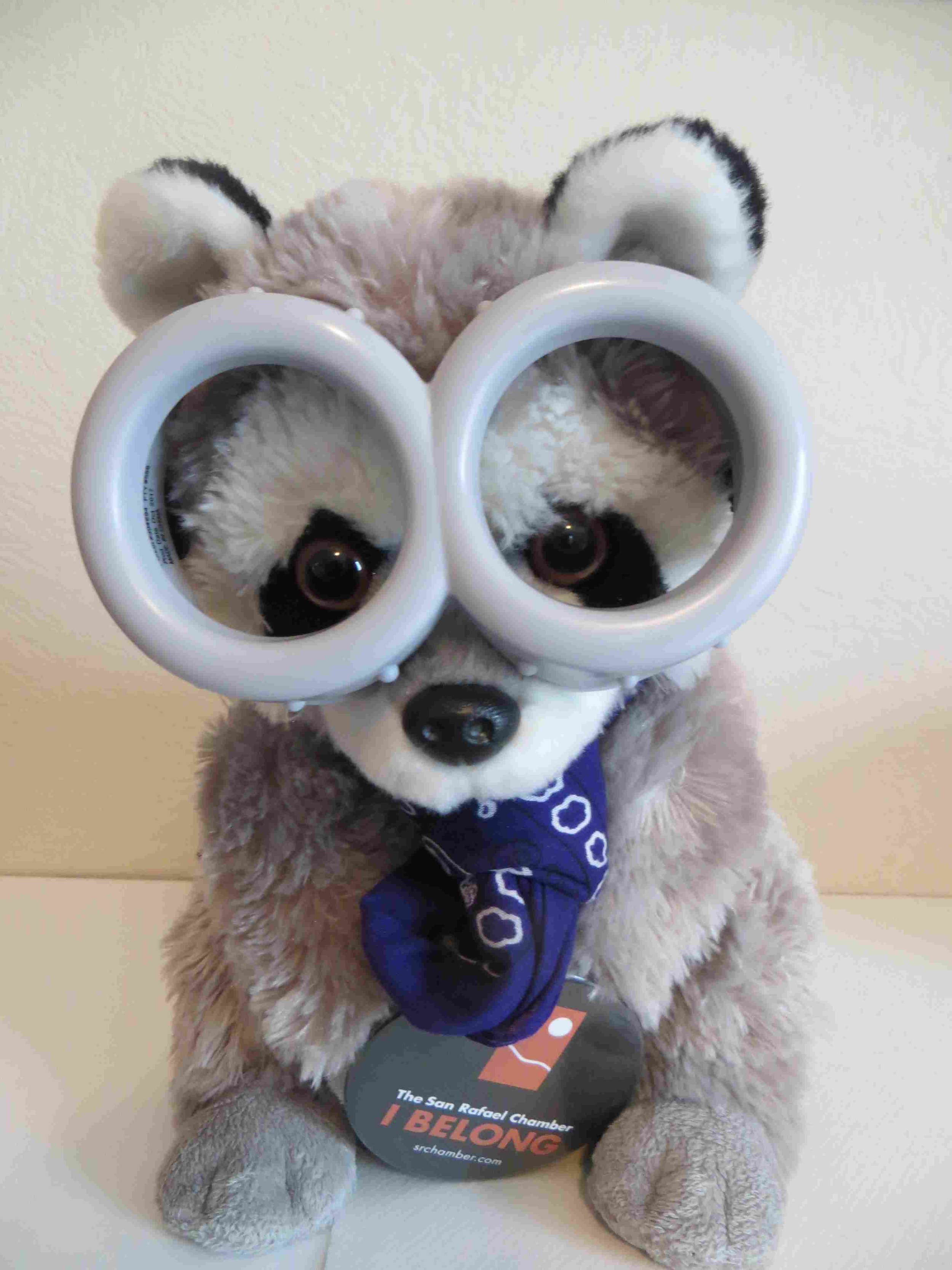 Rafael SRCOC Raccoon Mascot a-007.jpg