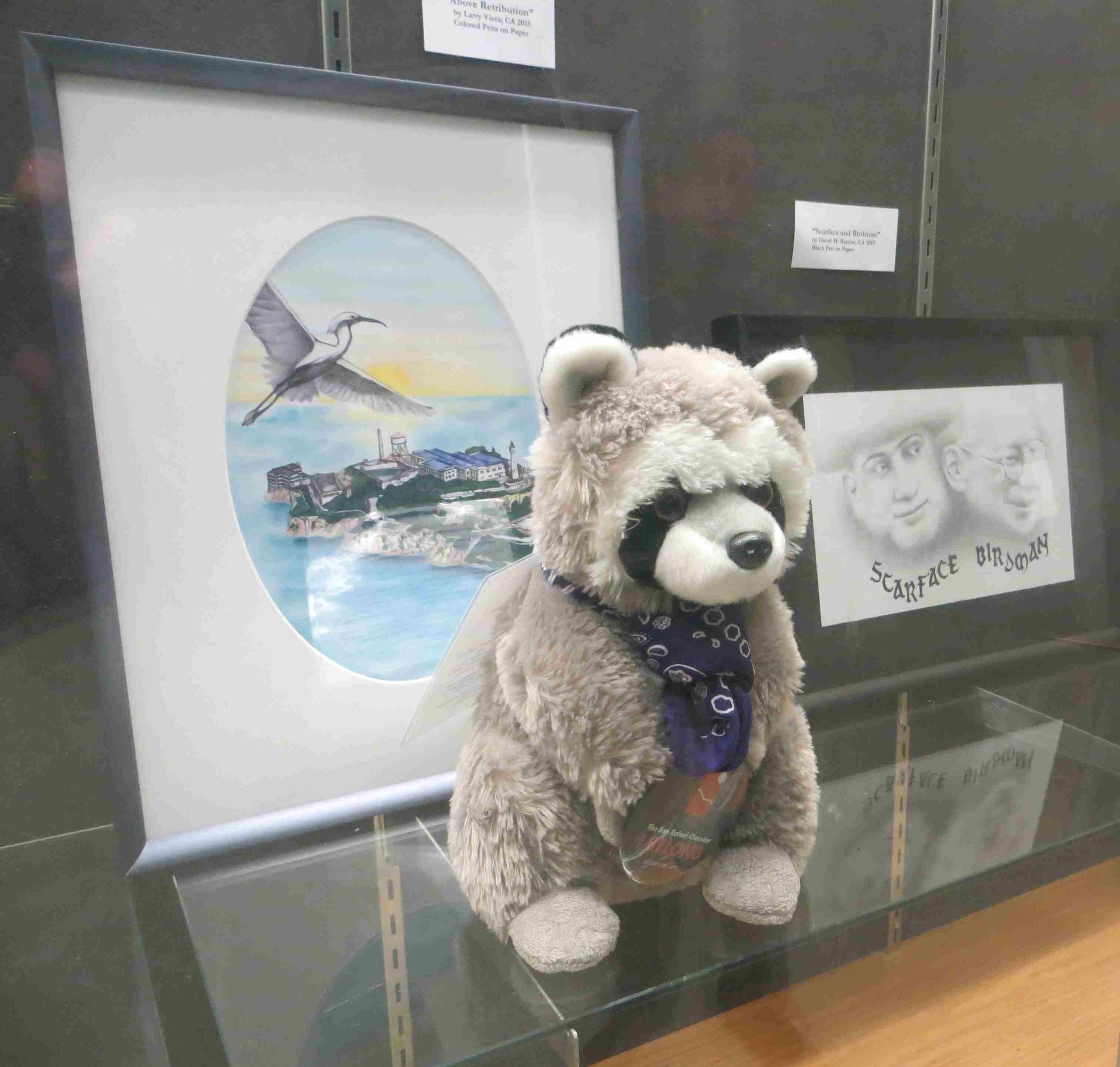 Raphael the raccoon at Woodside Probation center in SF-004 - Copy.jpg