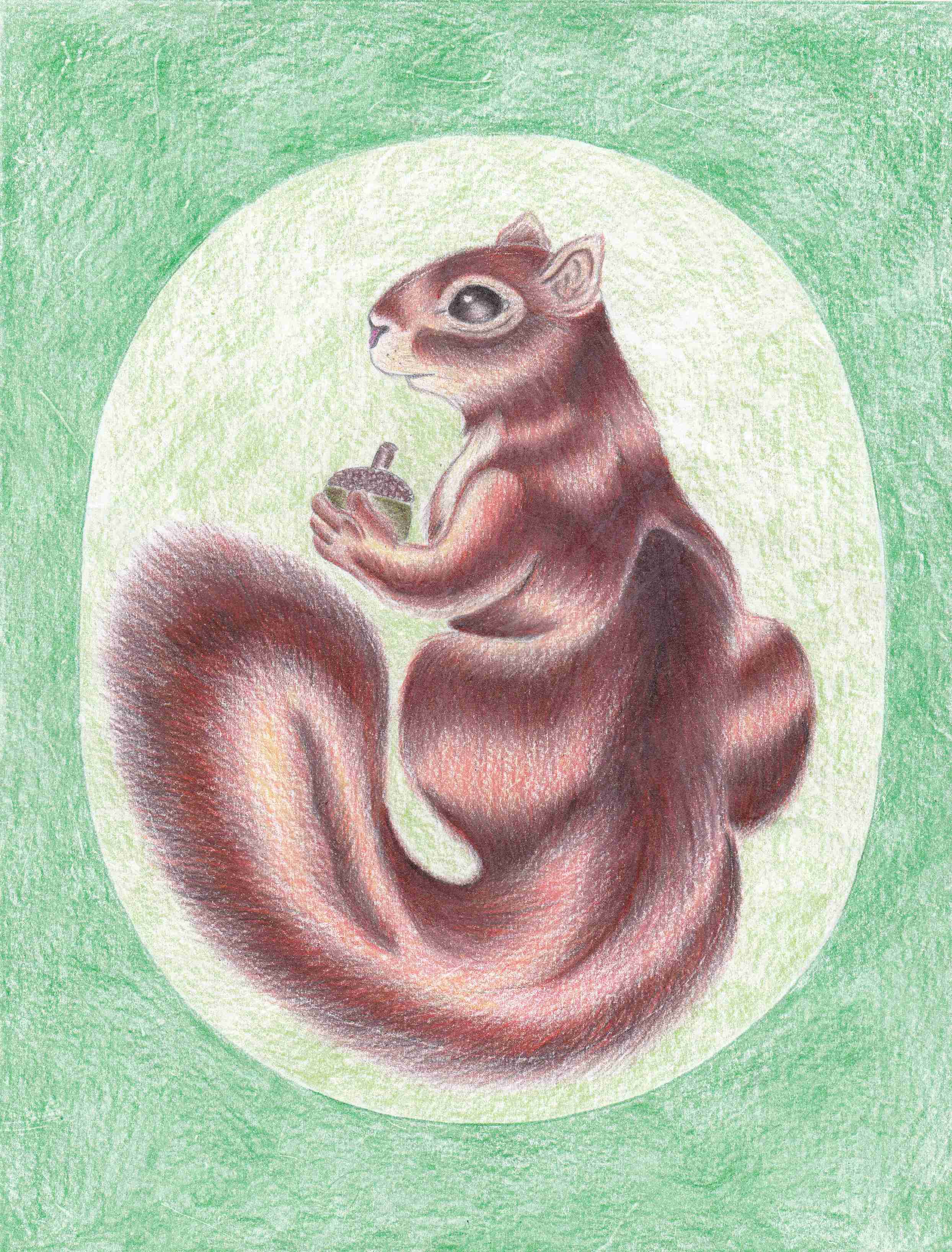 squirrel drawing by William J. Cumber-IMG_20180624_0001 - Copy.jpg