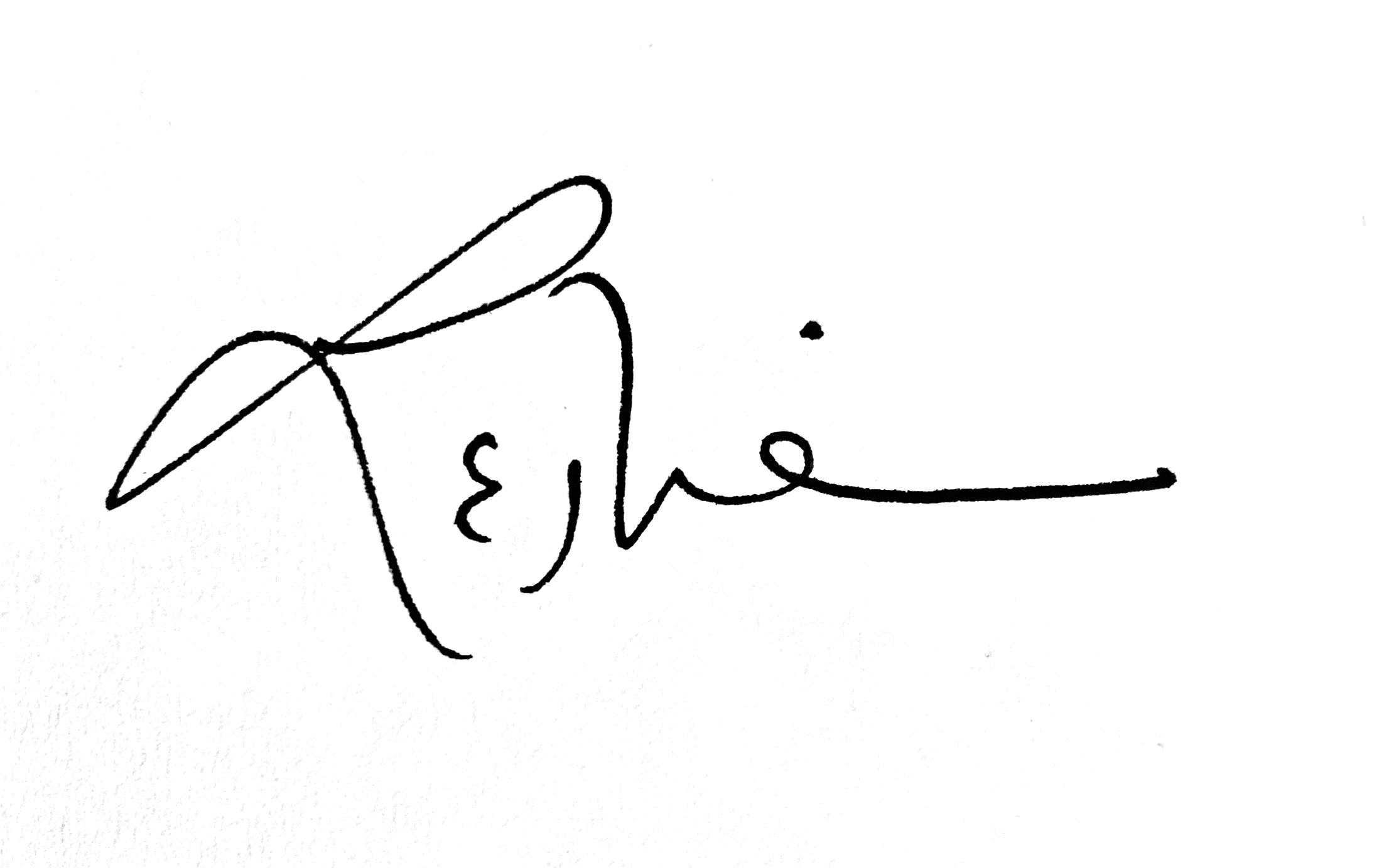 Leslie signature.png