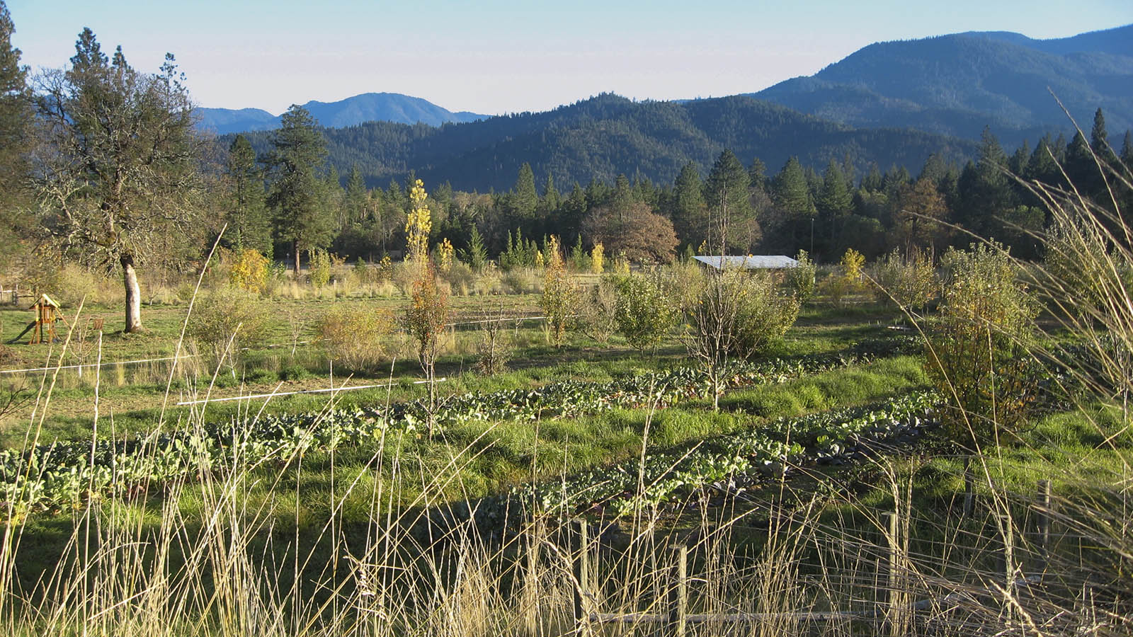 White Oak Farm