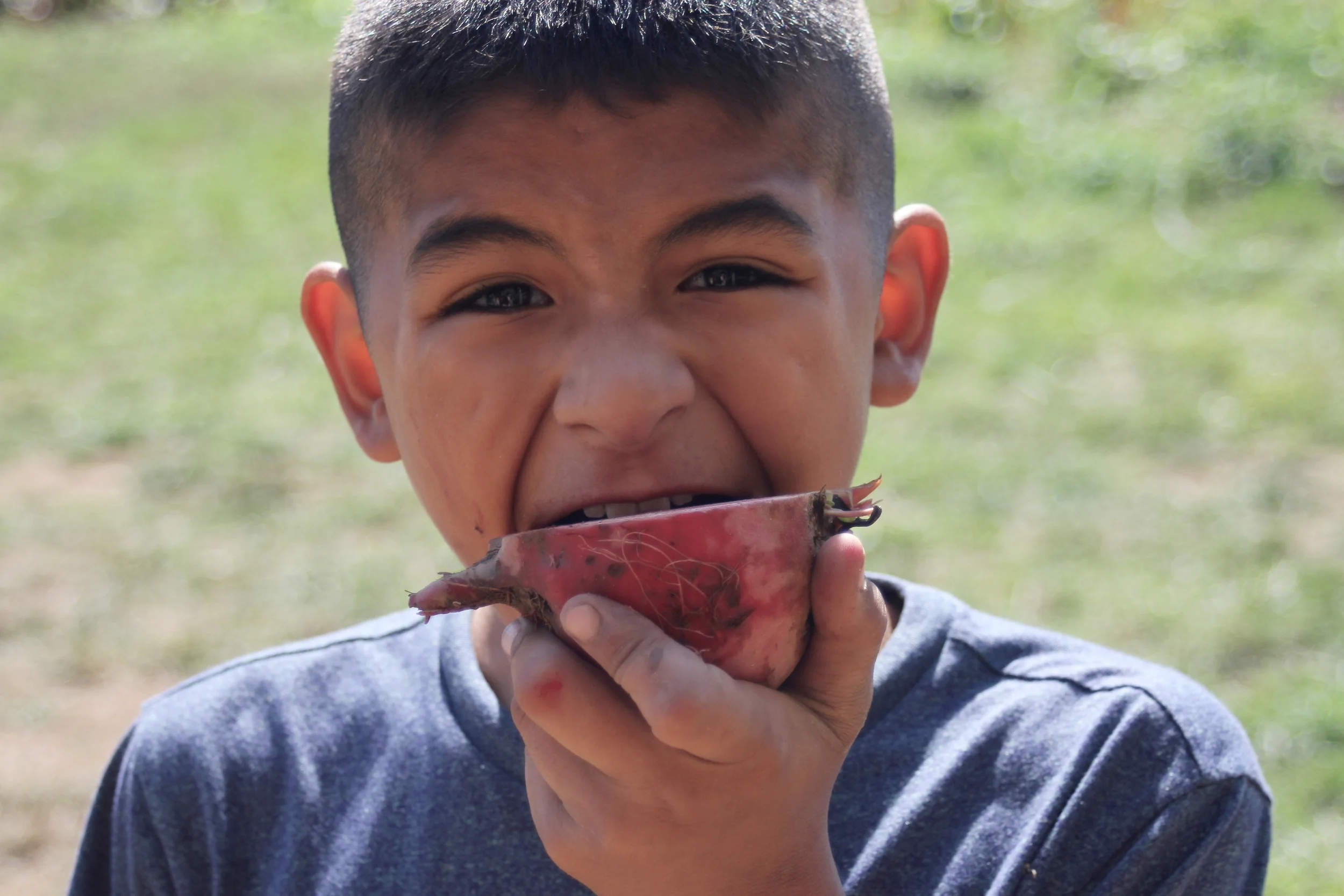 First Friday Artwalk at Rogue Valley Farm to School