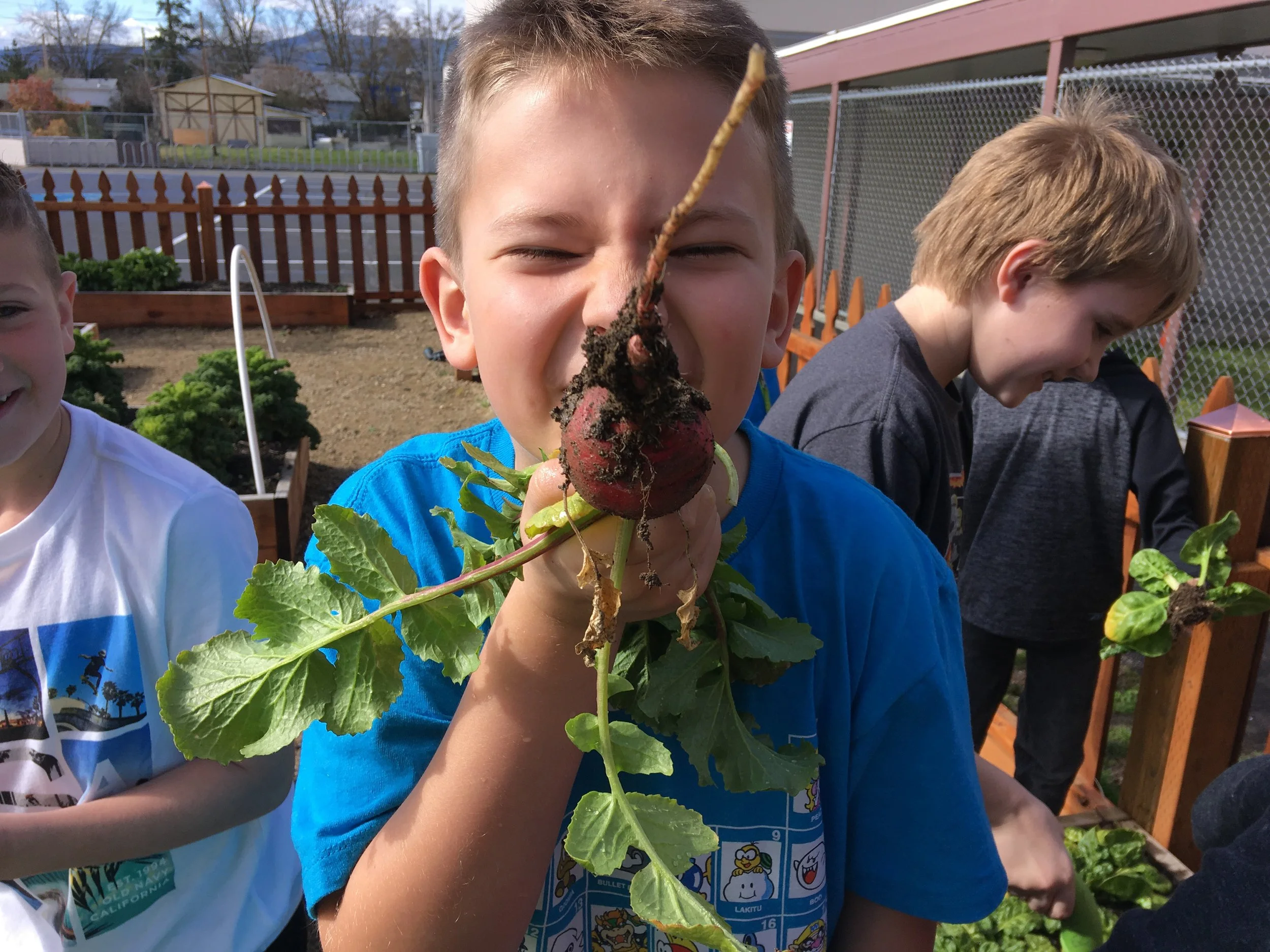 Deepening Our Impact